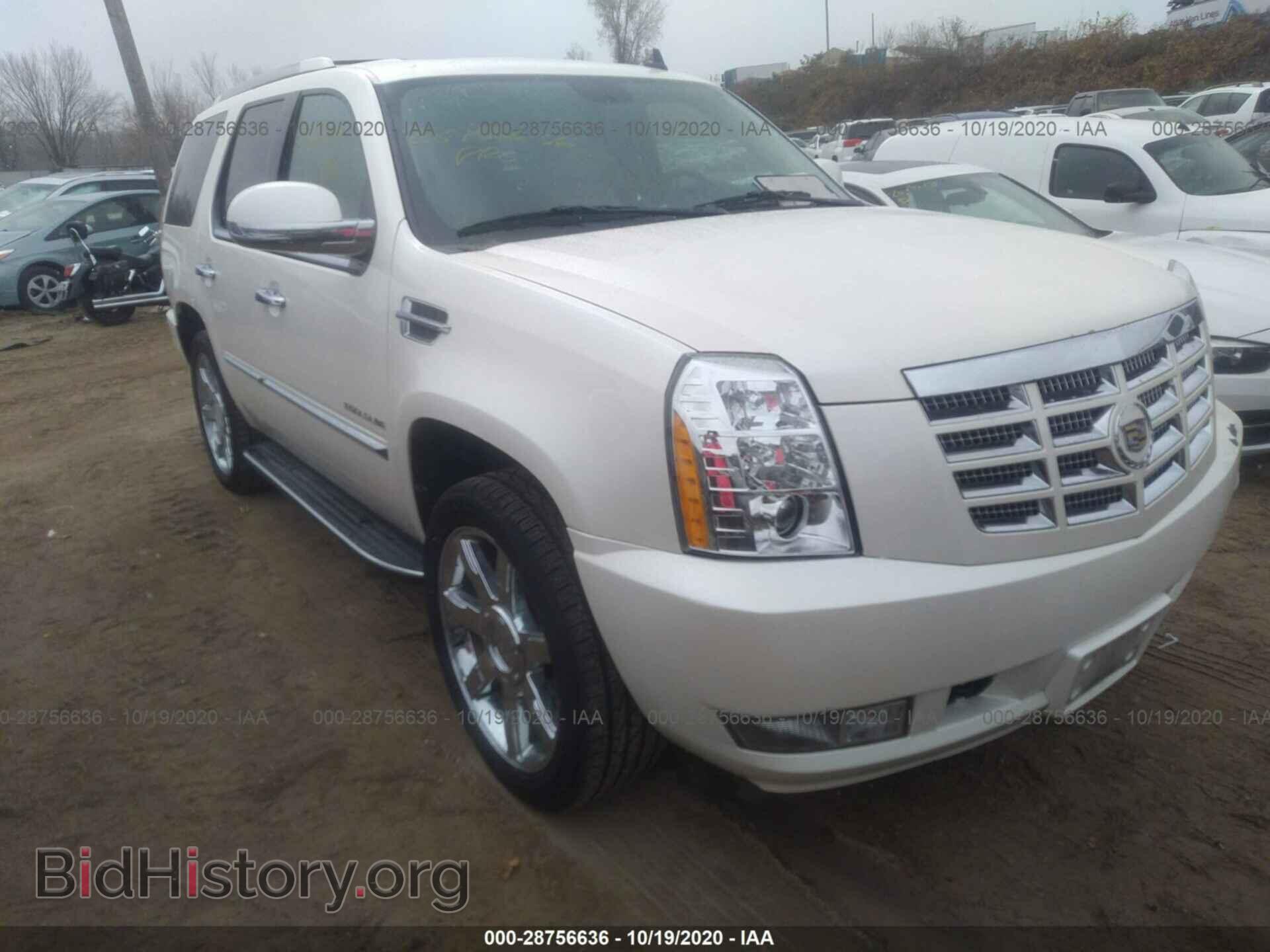 Photo 1GYS4BEF1CR307094 - CADILLAC ESCALADE 2012