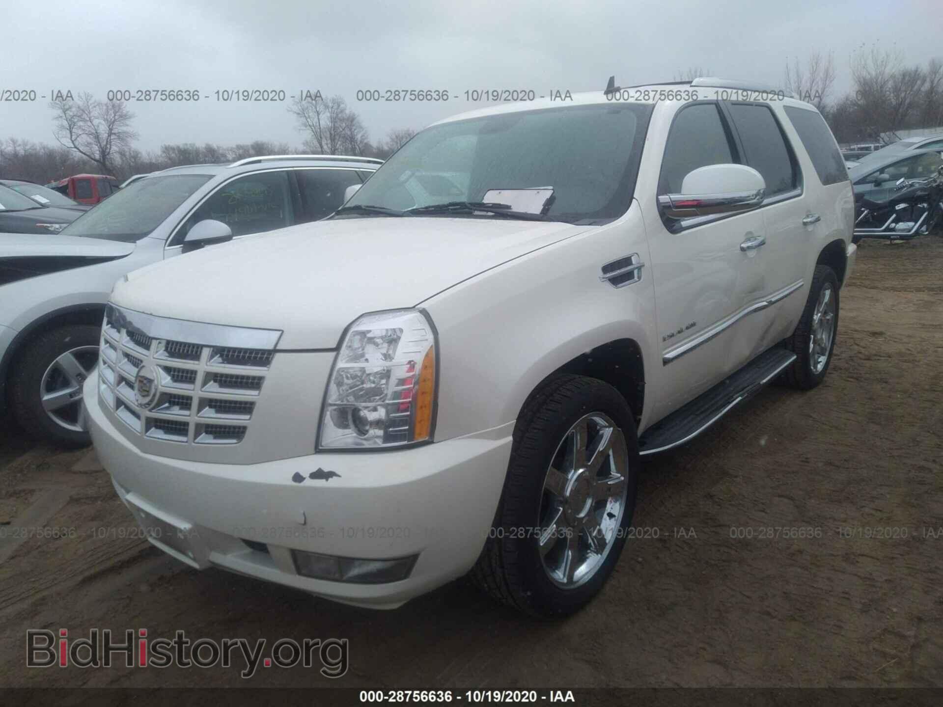 2012 CADILLAC ESCALADE - VIN: 1GYS4BEF1CR307094 - Фото 2