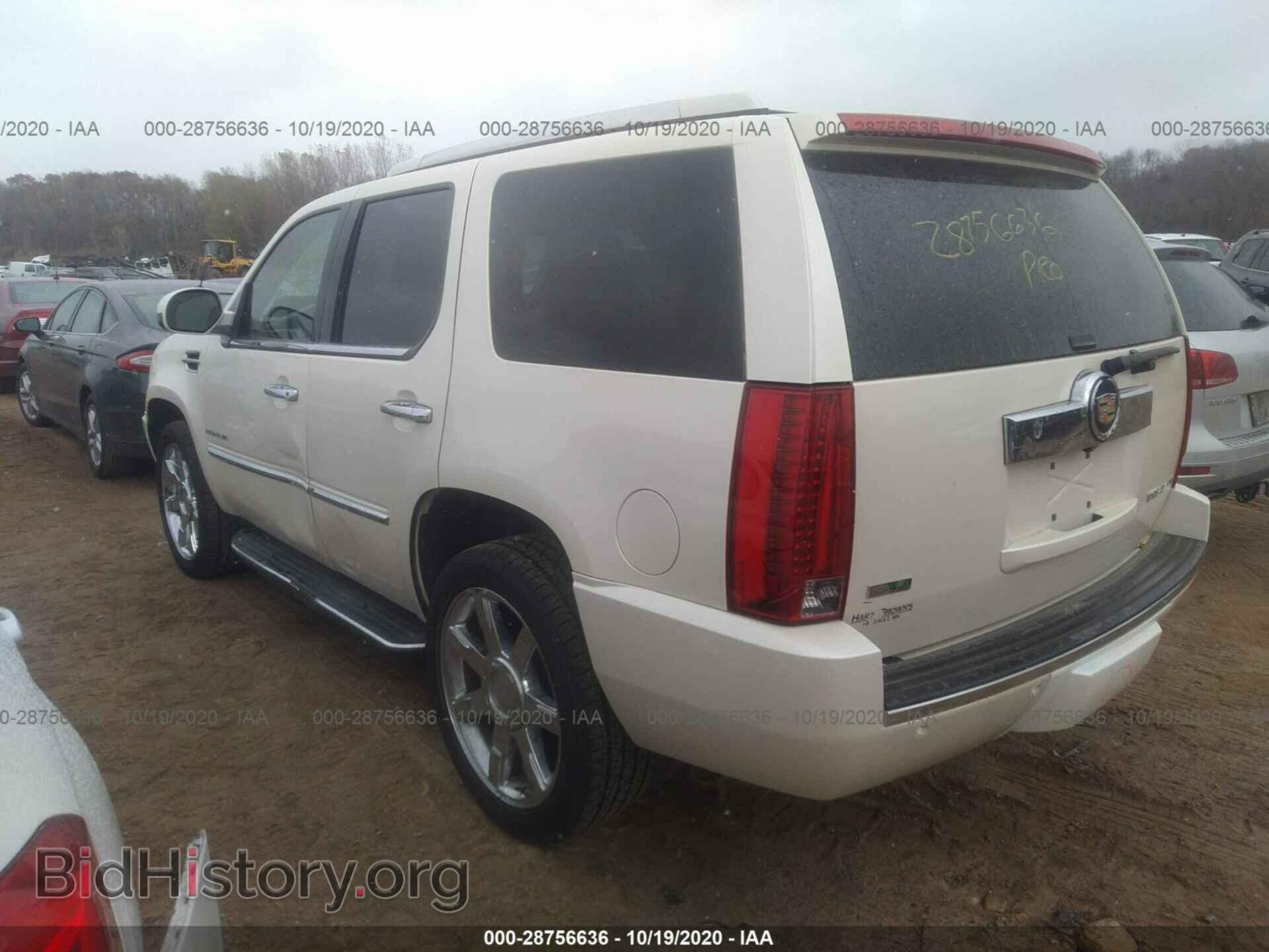 2012 CADILLAC ESCALADE - VIN: 1GYS4BEF1CR307094 - Фото 3