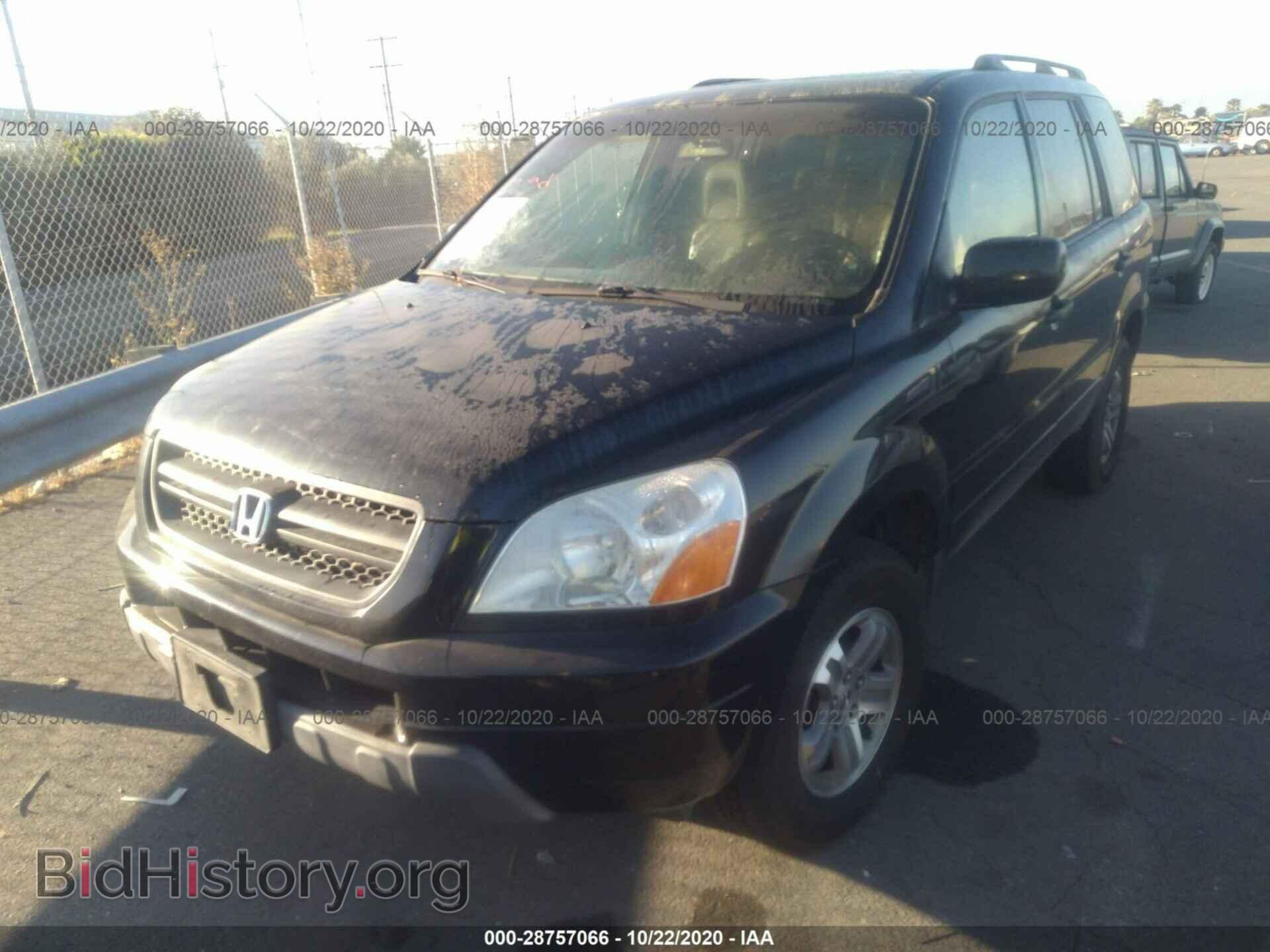 2005 HONDA PILOT - VIN: 2HKYF18795H562837 - Фото 2