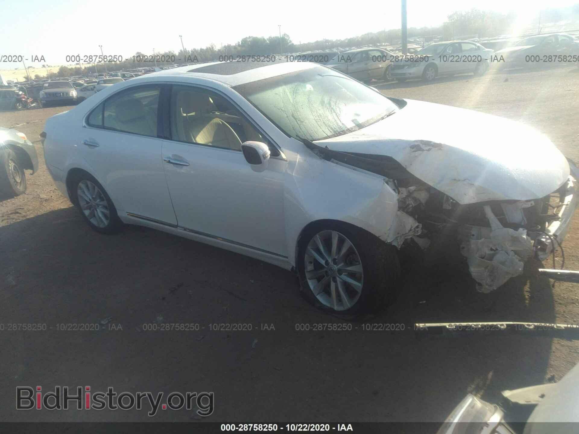 Photo JTHBK1EG3C2496479 - LEXUS ES 350 2012