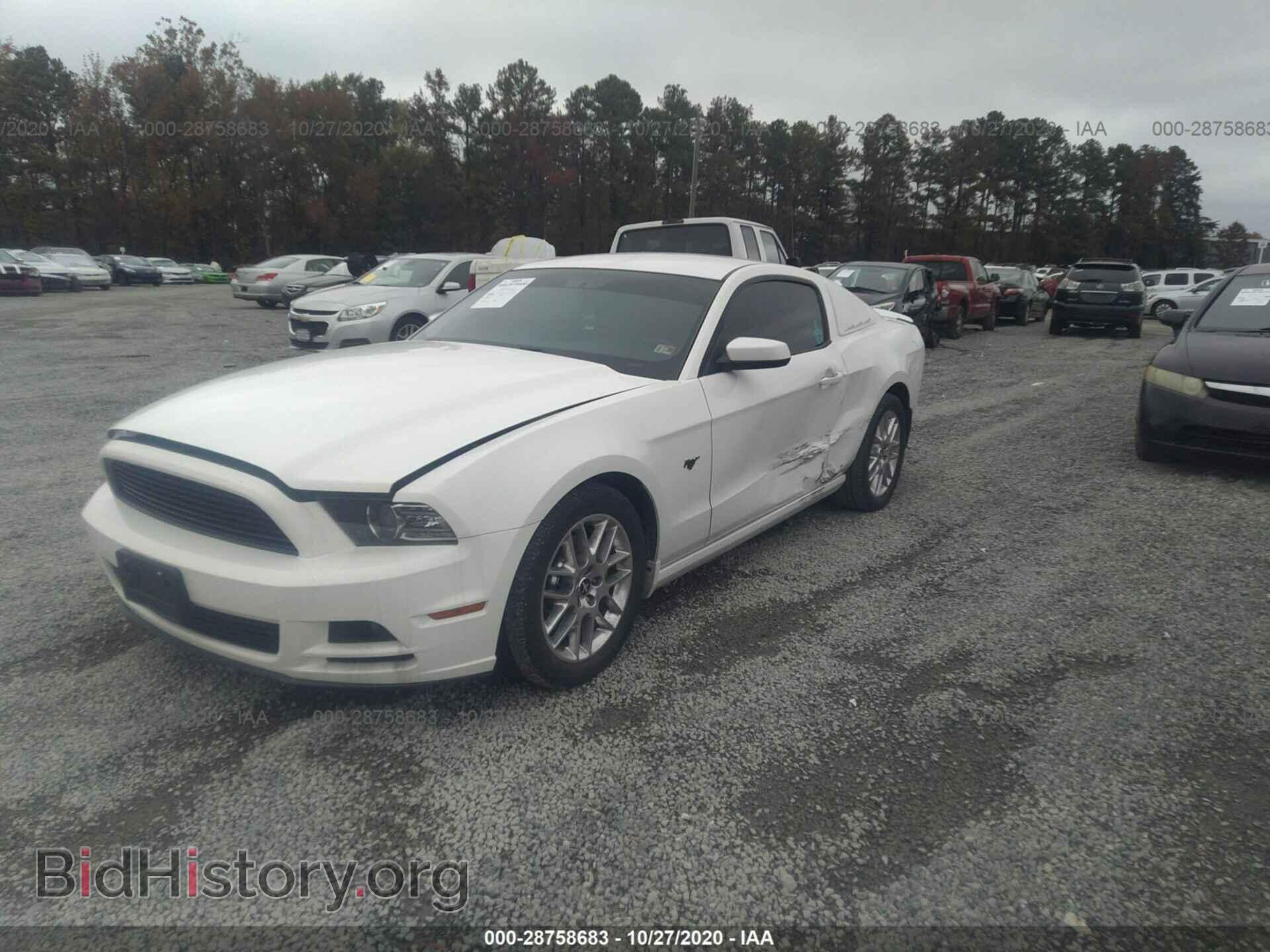 2013 FORD MUSTANG - VIN: 1ZVBP8AM0D5278309 - Фото 2