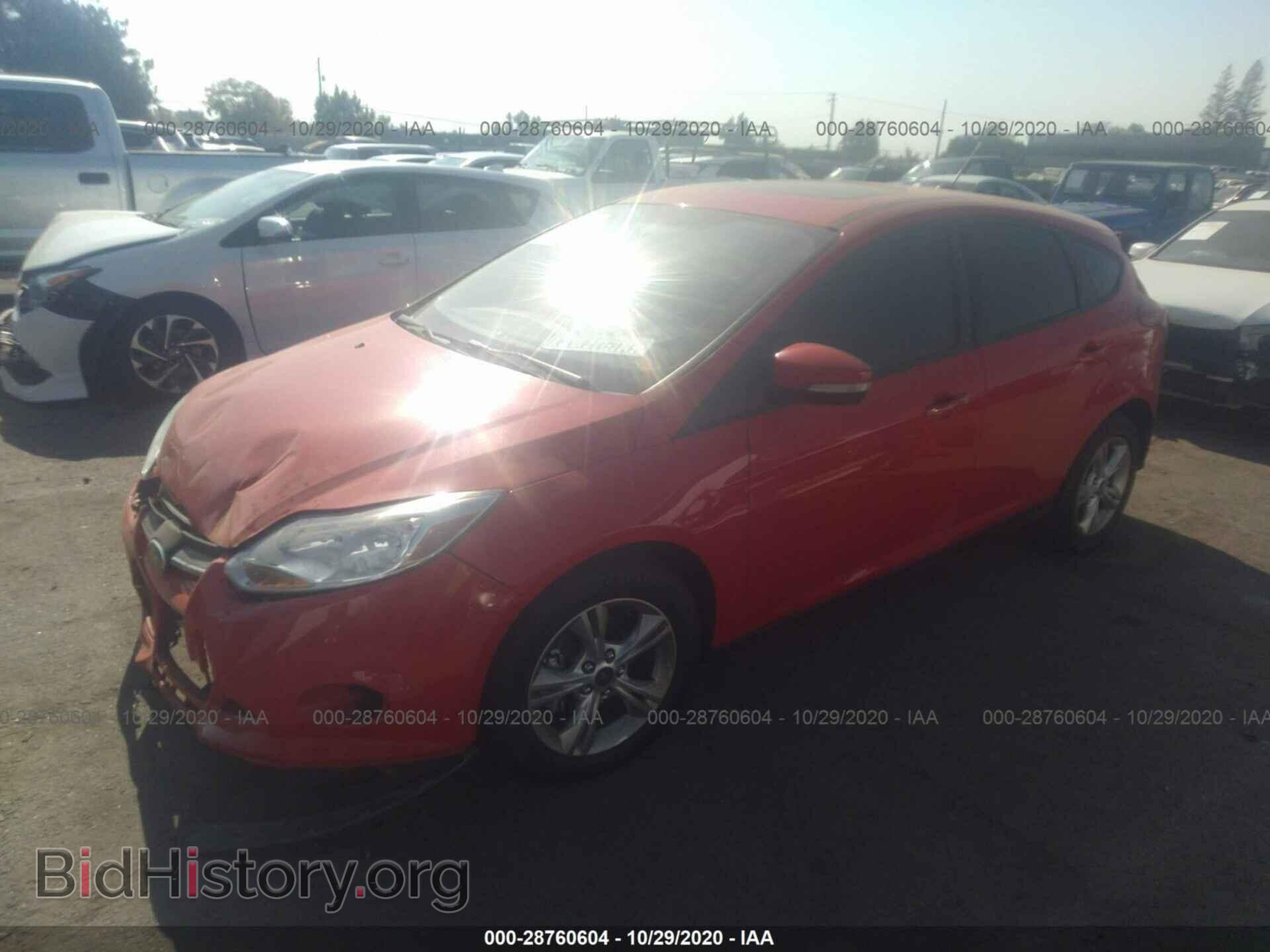 2013 FORD FOCUS - VIN: 1FADP3K24DL260974 - Фото 2