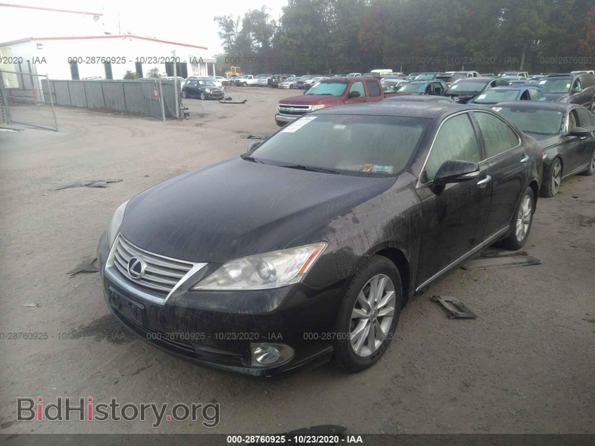 2010 LEXUS ES 350 - VIN: JTHBK1EG6A2387964 - Фото 2