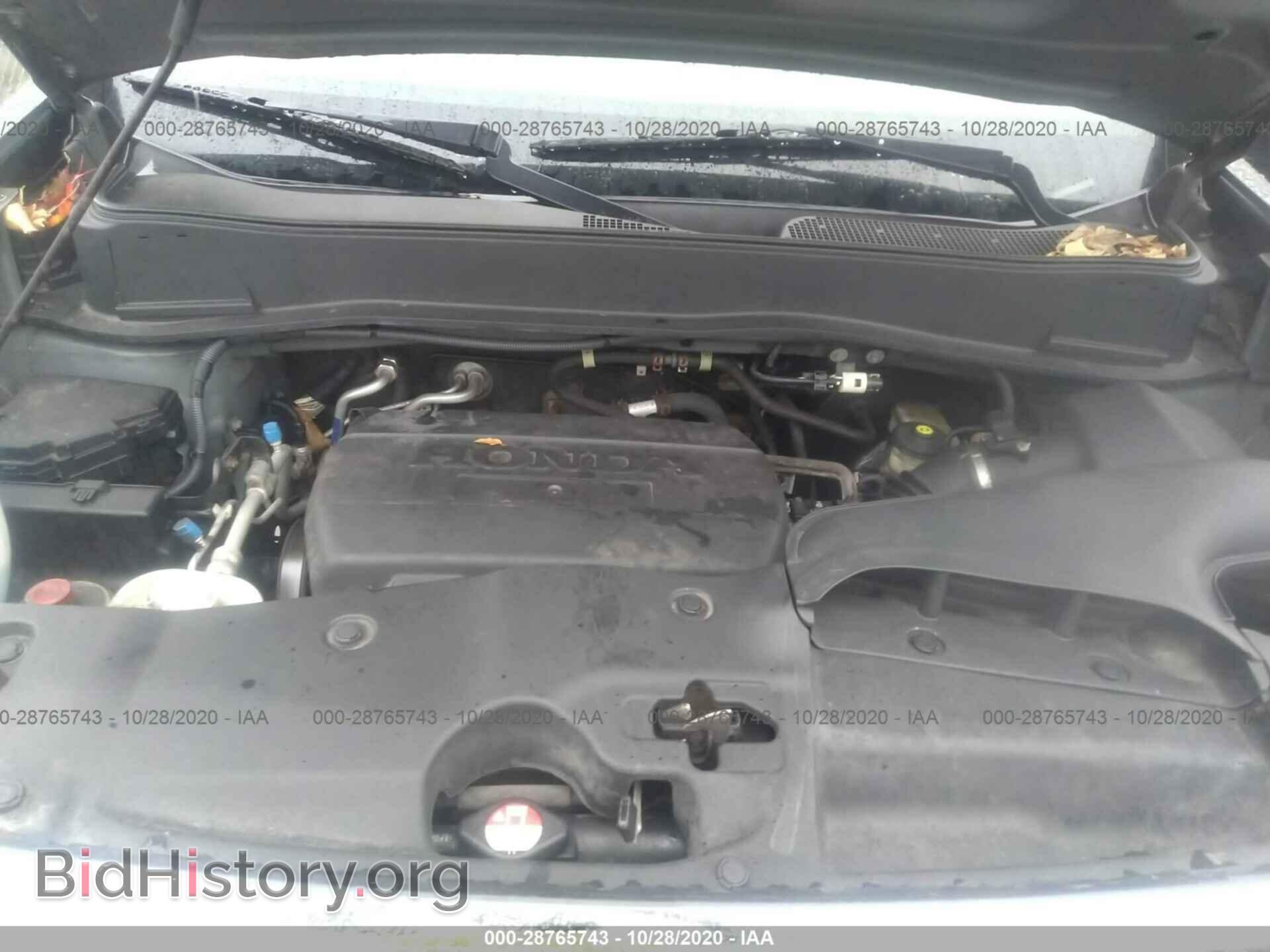 2009 HONDA PILOT - VIN: 5FNYF48419B025262 - Фото 10