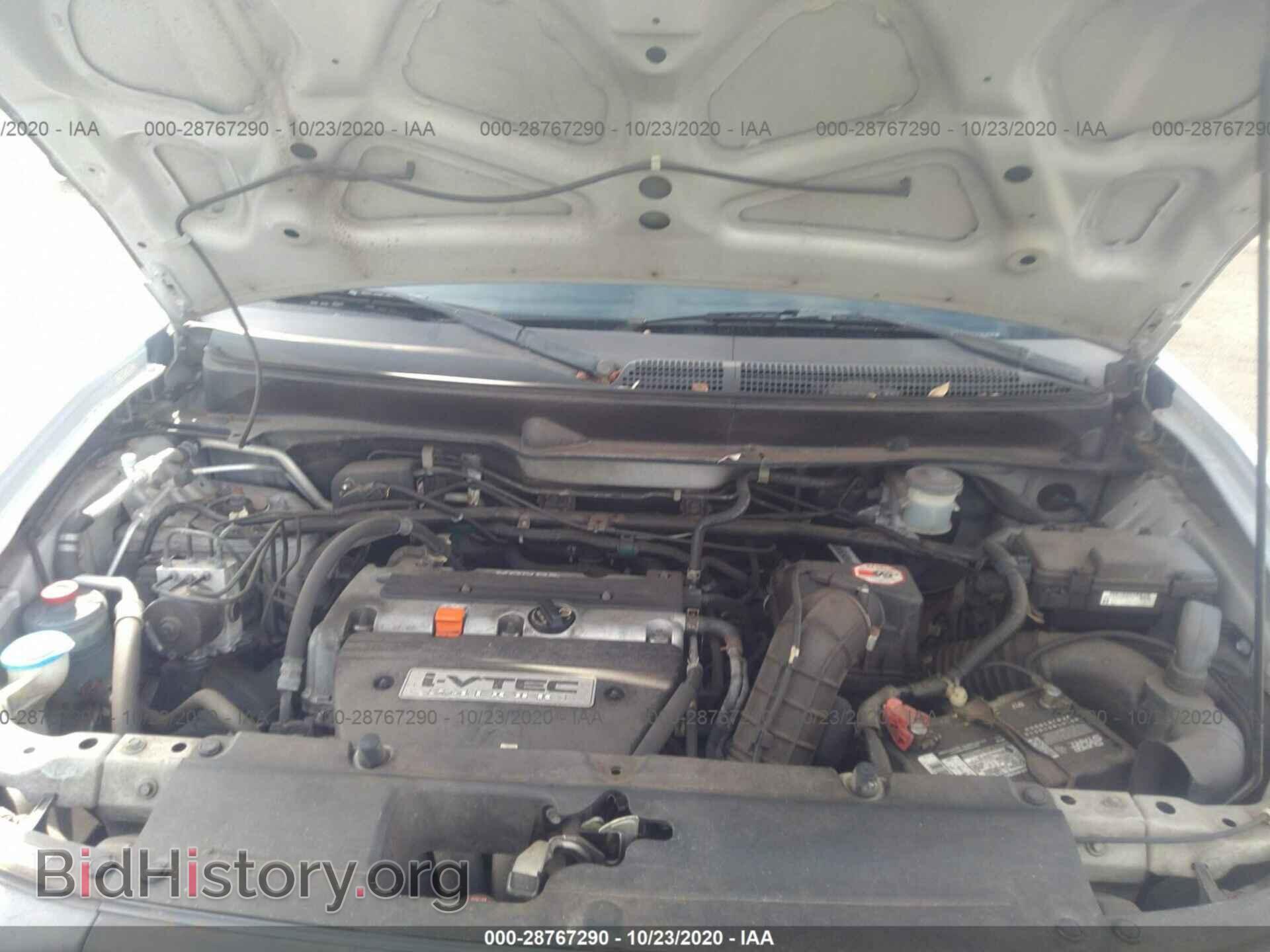 2007 HONDA ELEMENT - VIN: 5J6YH18367L004024 - Фото 10