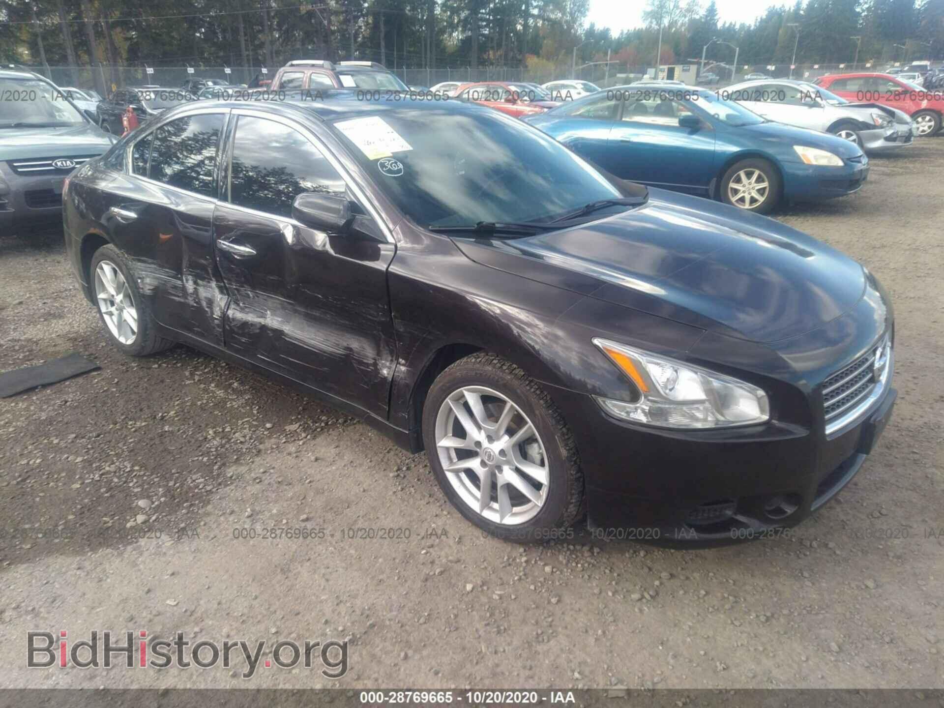 Фотография 1N4AA5AP1BC855873 - NISSAN MAXIMA 2011