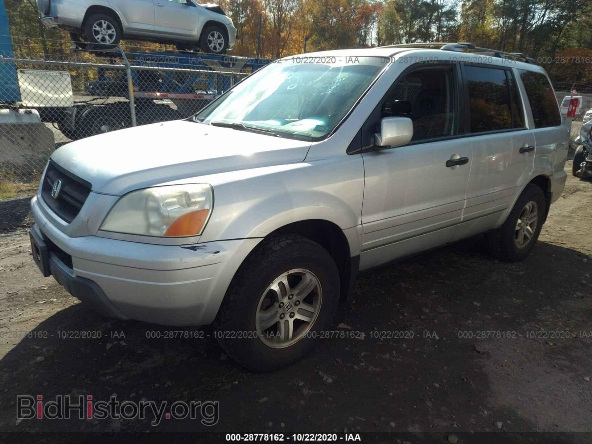 2005 HONDA PILOT - VIN: 5FNYF18505B059971 - Фото 2