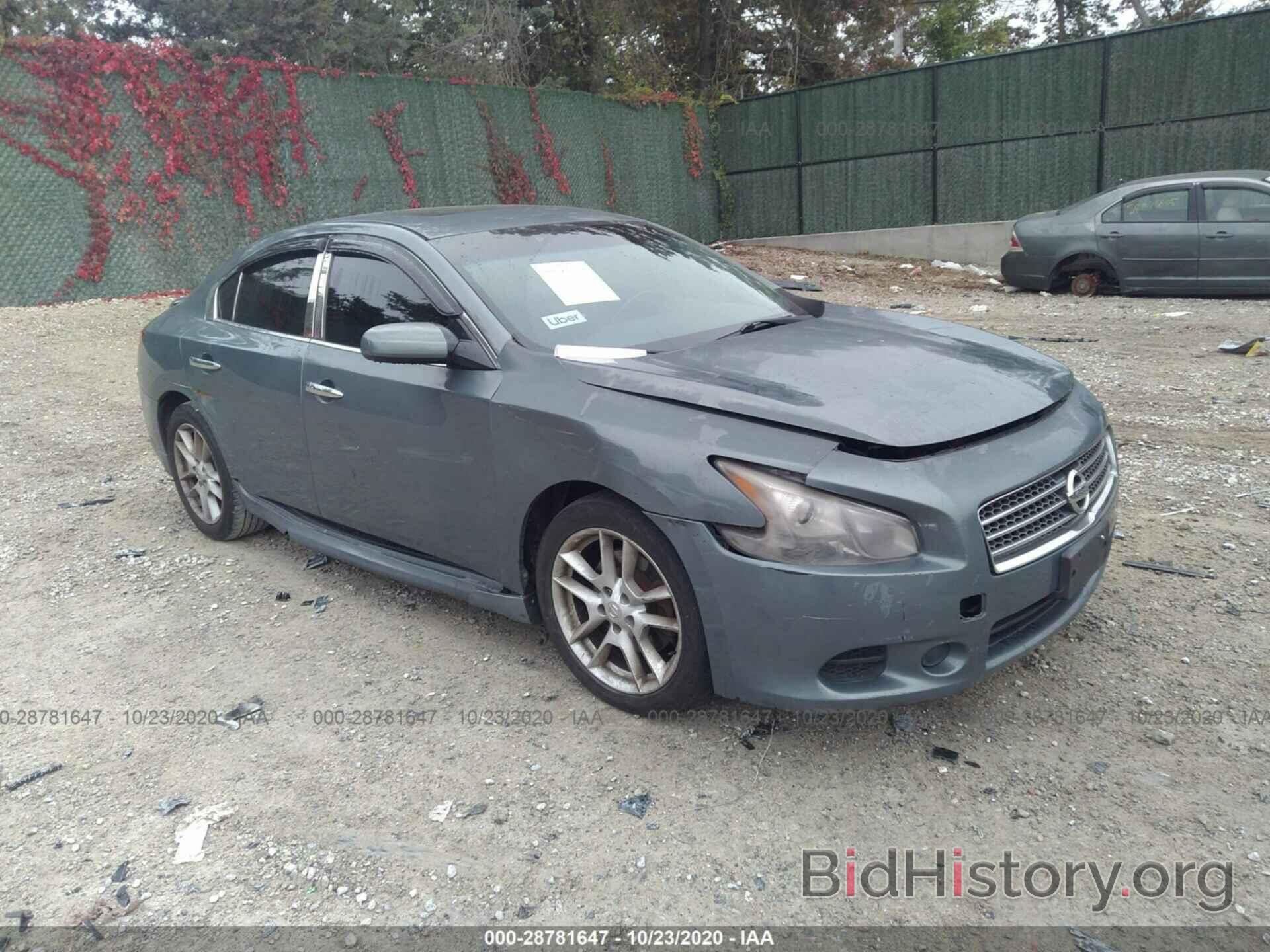 Photo 1N4AA5AP3AC825997 - NISSAN MAXIMA 2010