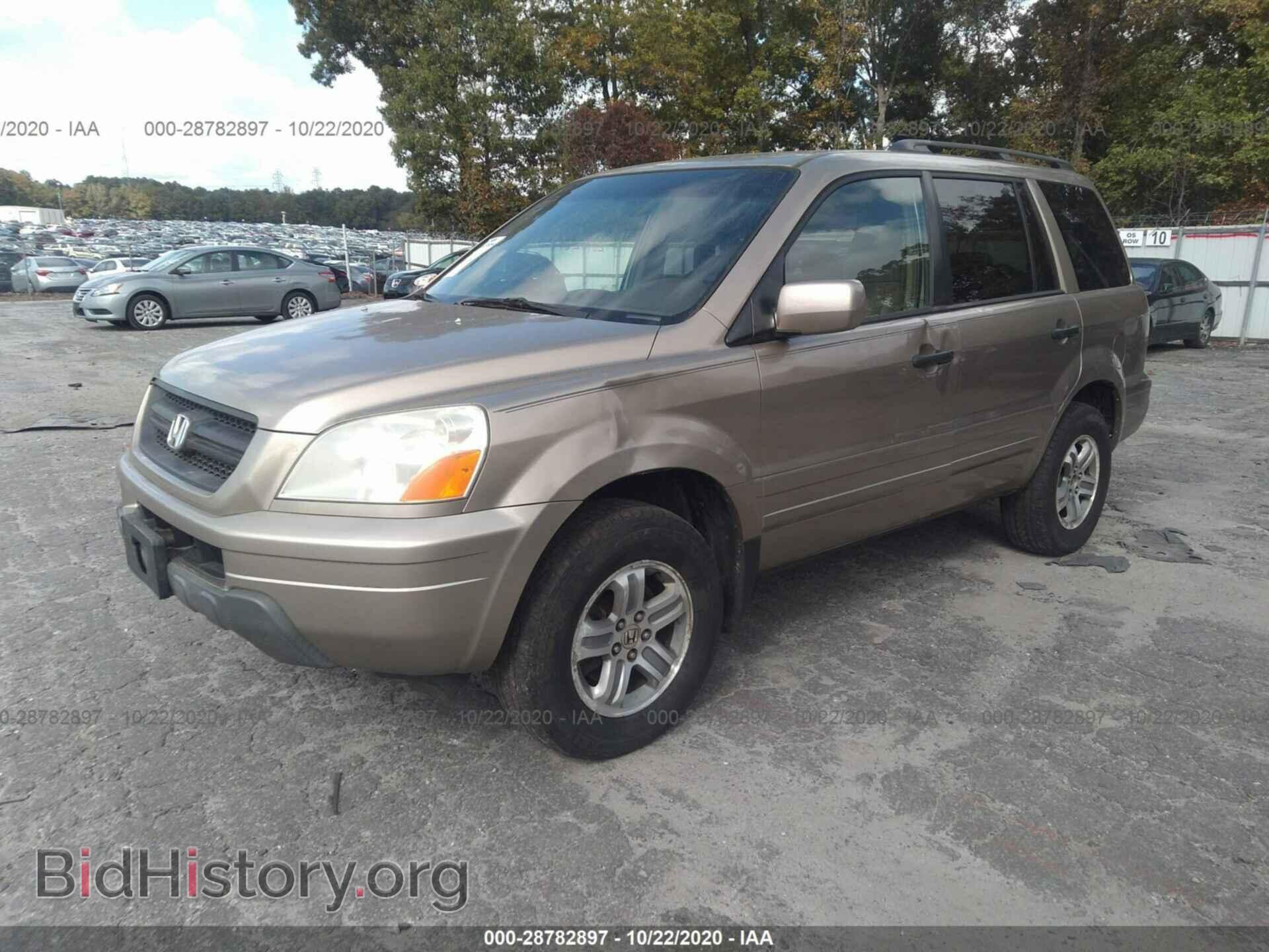 2005 HONDA PILOT - VIN: 2HKYF18405H538187 - Фото 2