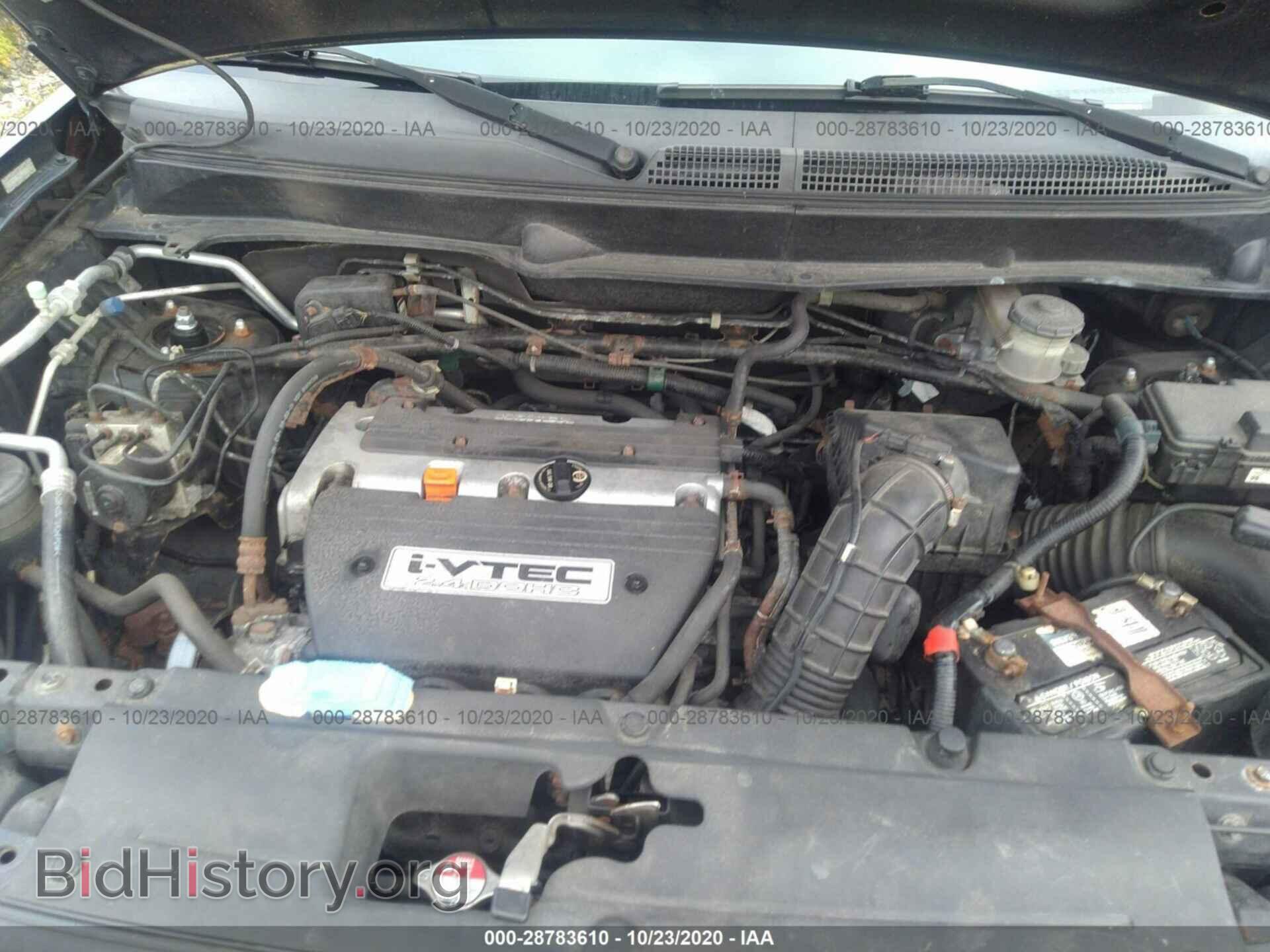 2007 HONDA ELEMENT - VIN: 5J6YH17997L009871 - Фото 10