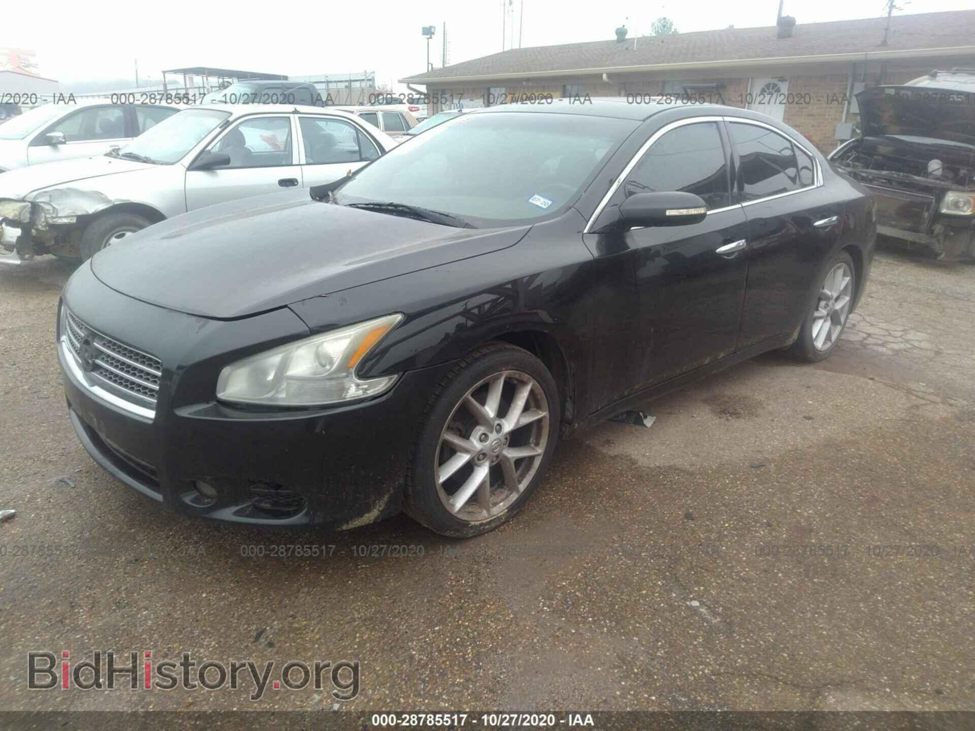2009 NISSAN MAXIMA - VIN: 1N4AA51E39C812533 - Фото 2