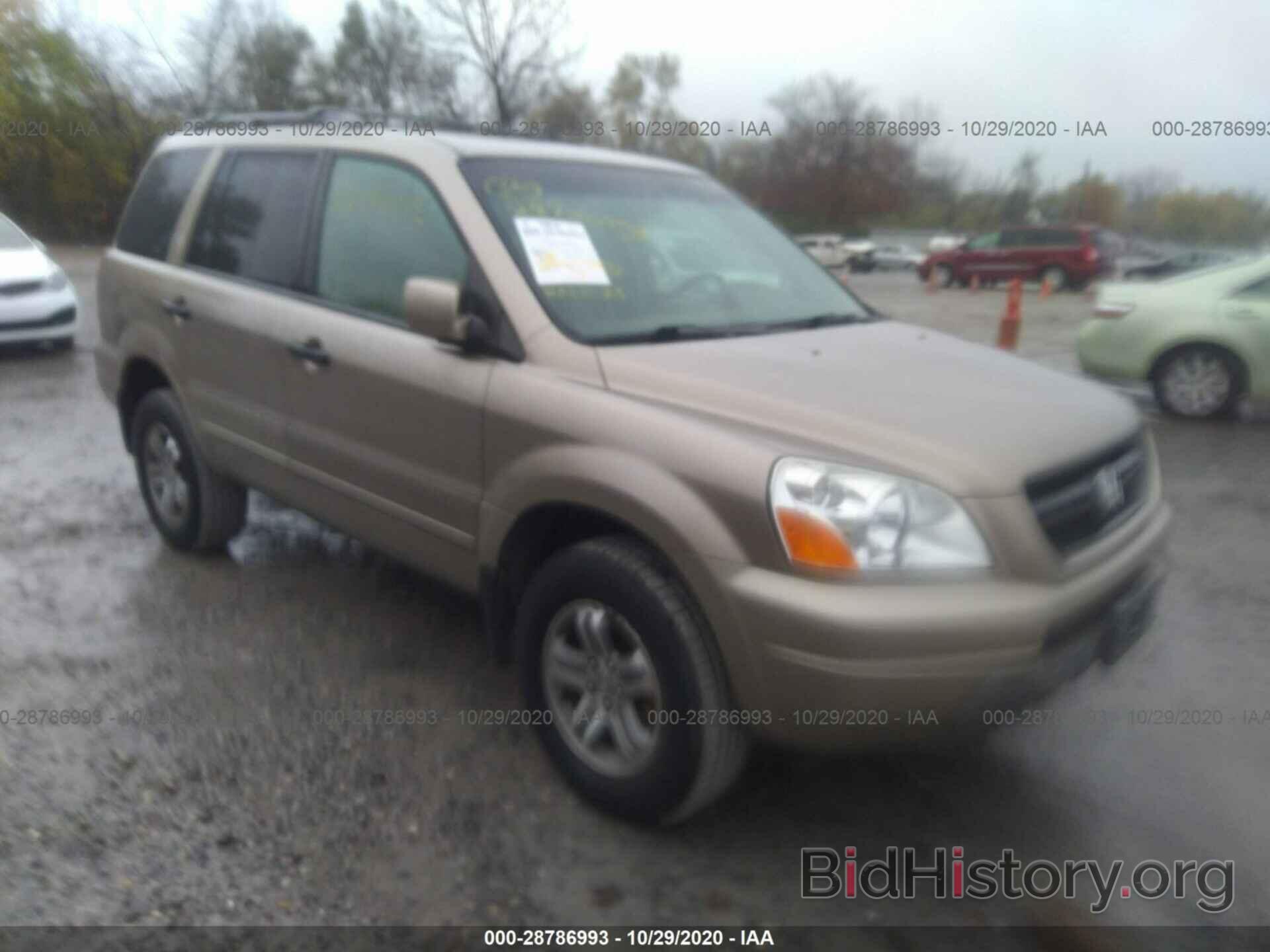 Фотография 5FNYF18565B029924 - HONDA PILOT 2005