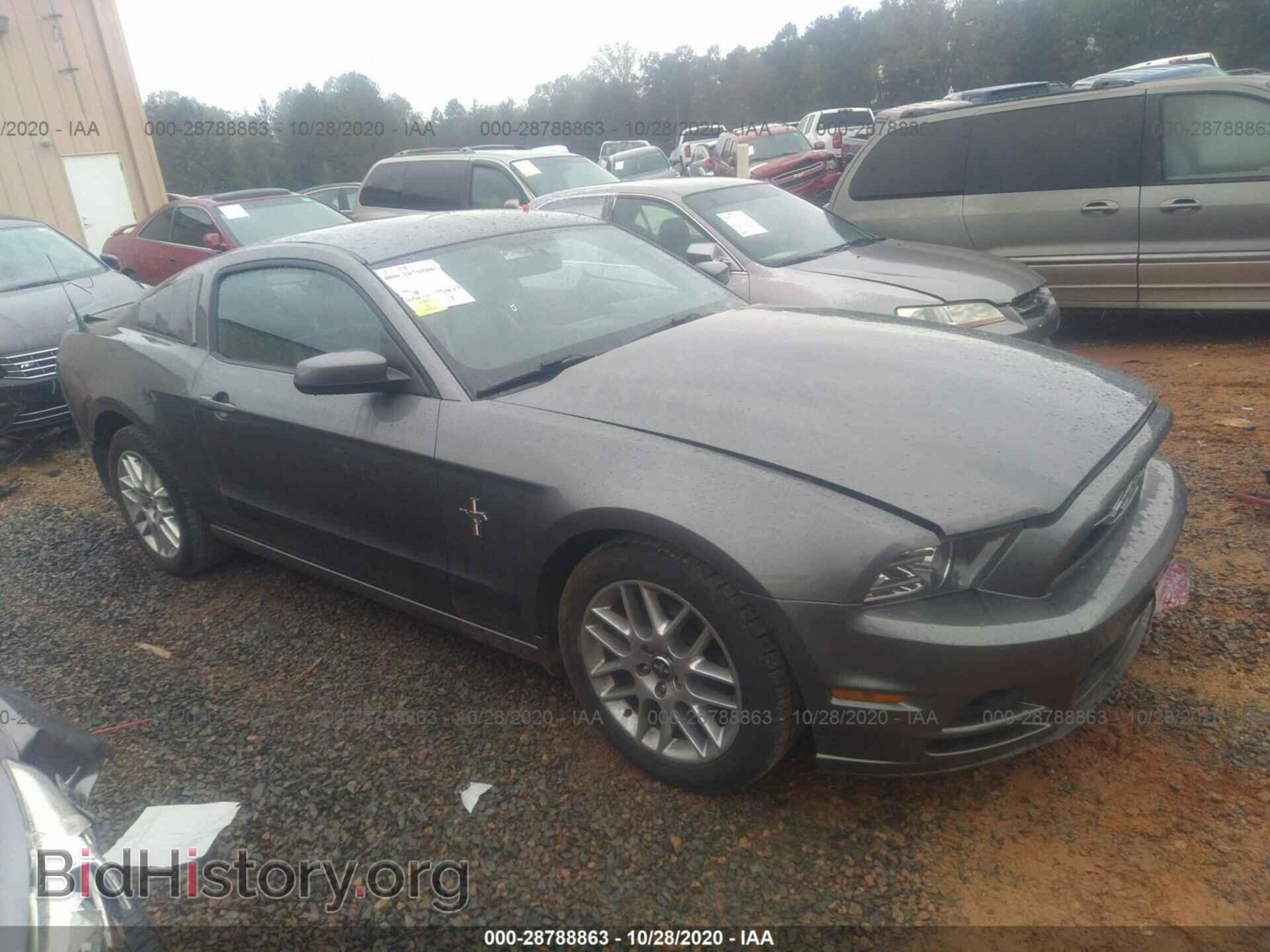 Photo 1ZVBP8AM7D5247154 - FORD MUSTANG 2013