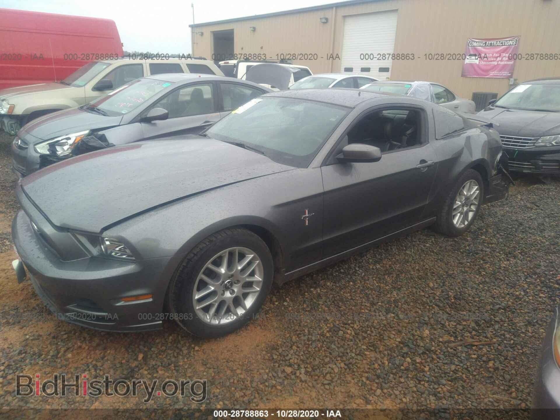 2013 FORD MUSTANG - VIN: 1ZVBP8AM7D5247154 - Фото 2