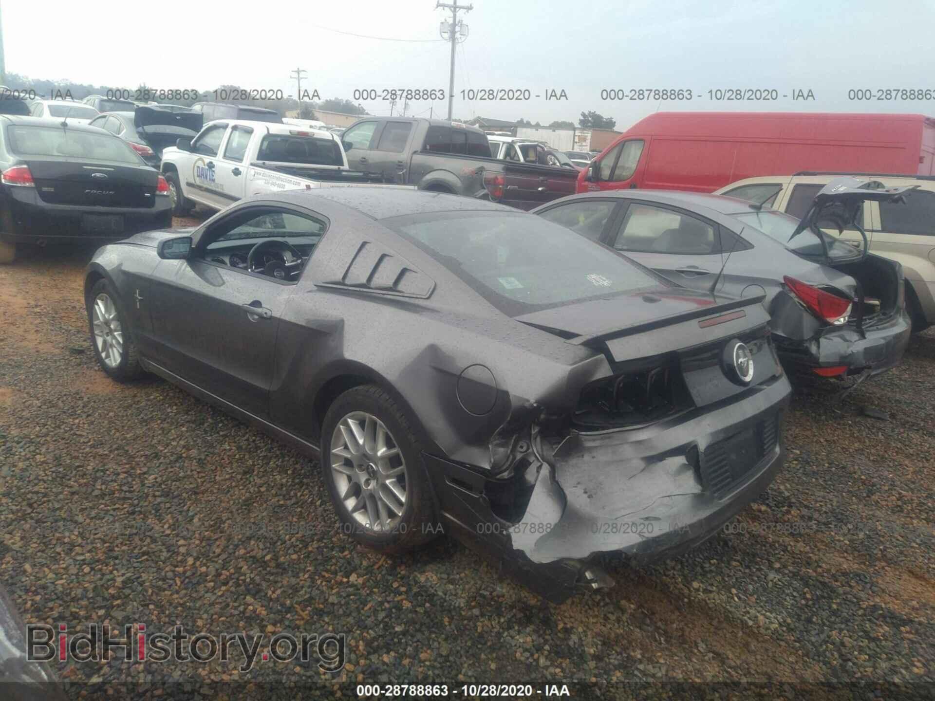 2013 FORD MUSTANG - VIN: 1ZVBP8AM7D5247154 - Фото 3