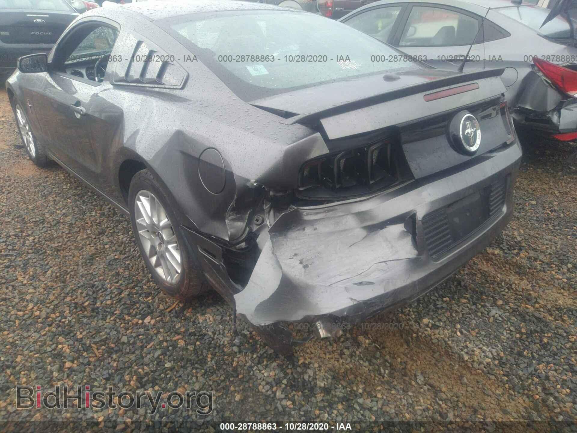 2013 FORD MUSTANG - VIN: 1ZVBP8AM7D5247154 - Фото 6