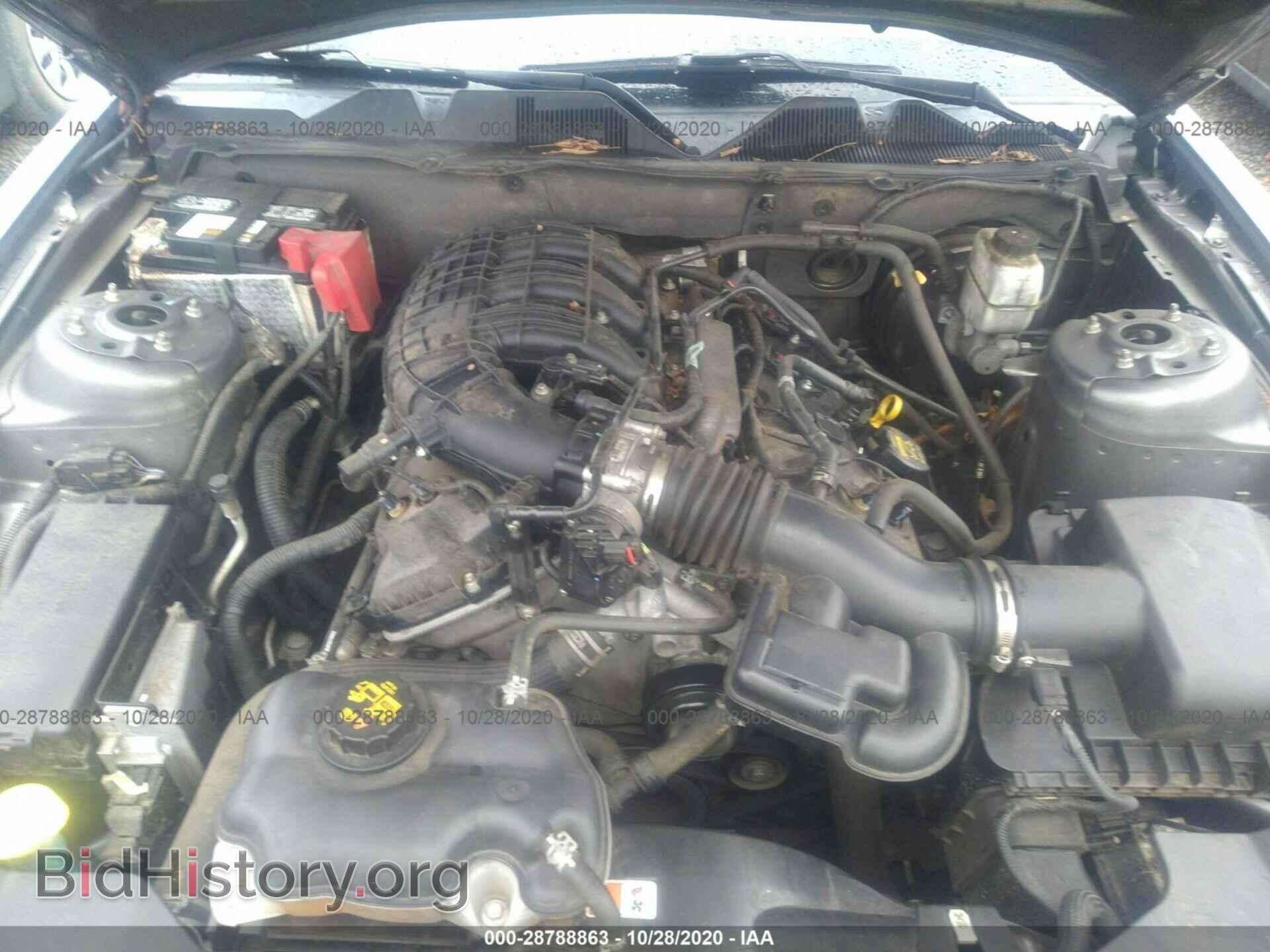 2013 FORD MUSTANG - VIN: 1ZVBP8AM7D5247154 - Фото 10