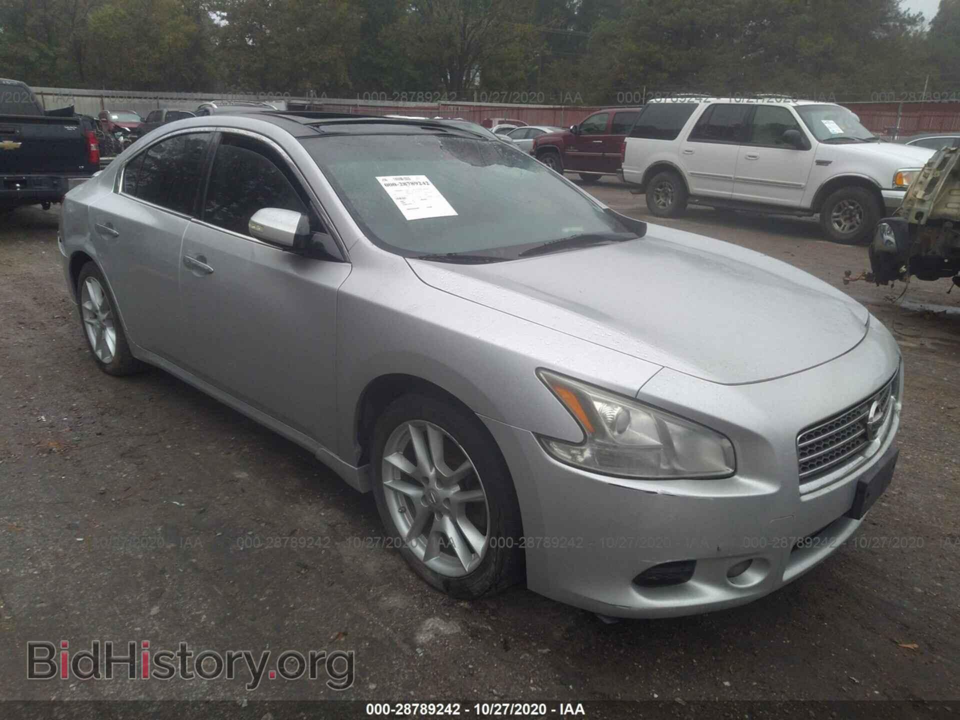 Фотография 1N4AA5AP7BC841167 - NISSAN MAXIMA 2011