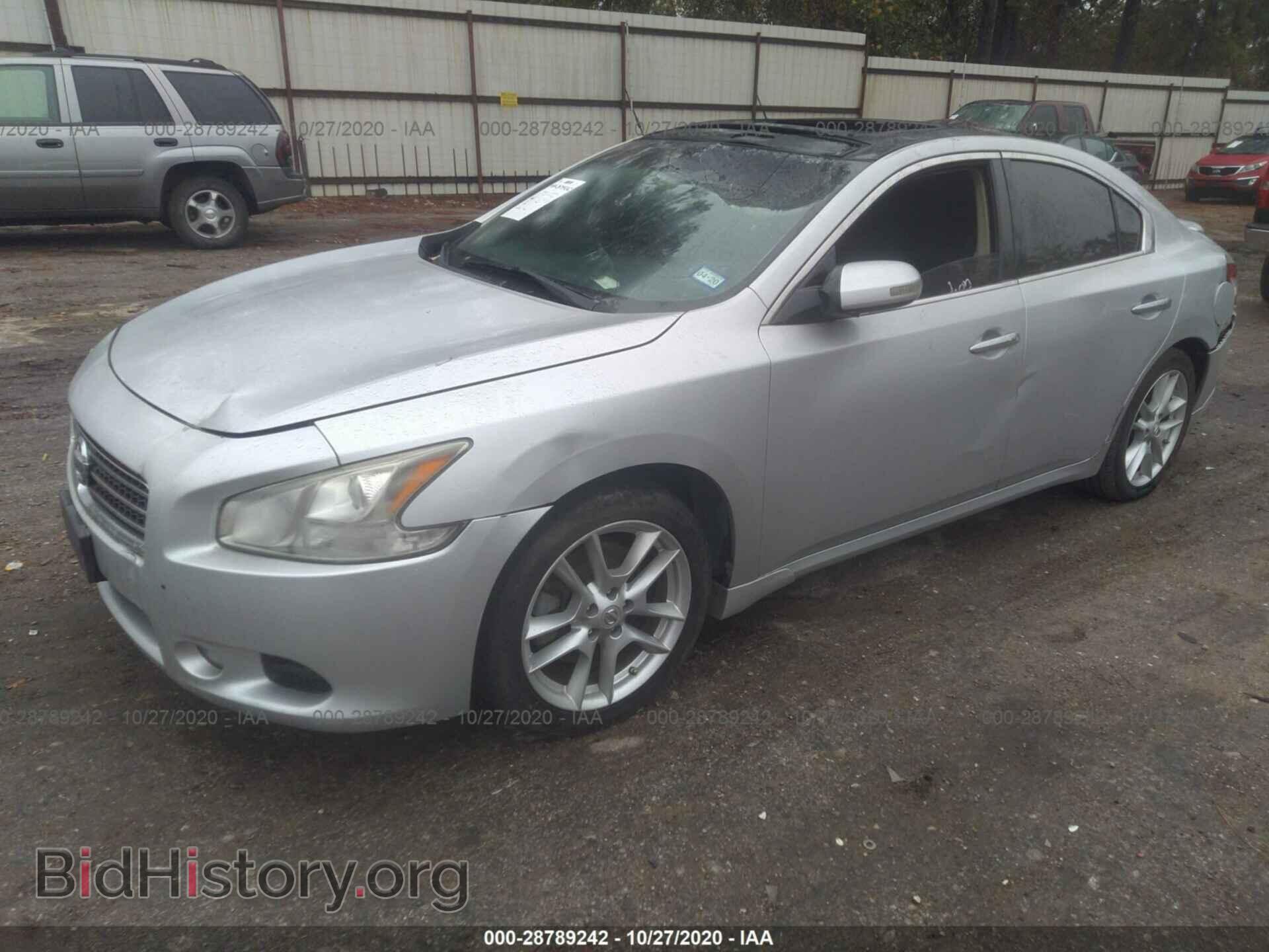 2011 NISSAN MAXIMA - VIN: 1N4AA5AP7BC841167 - Фото 2