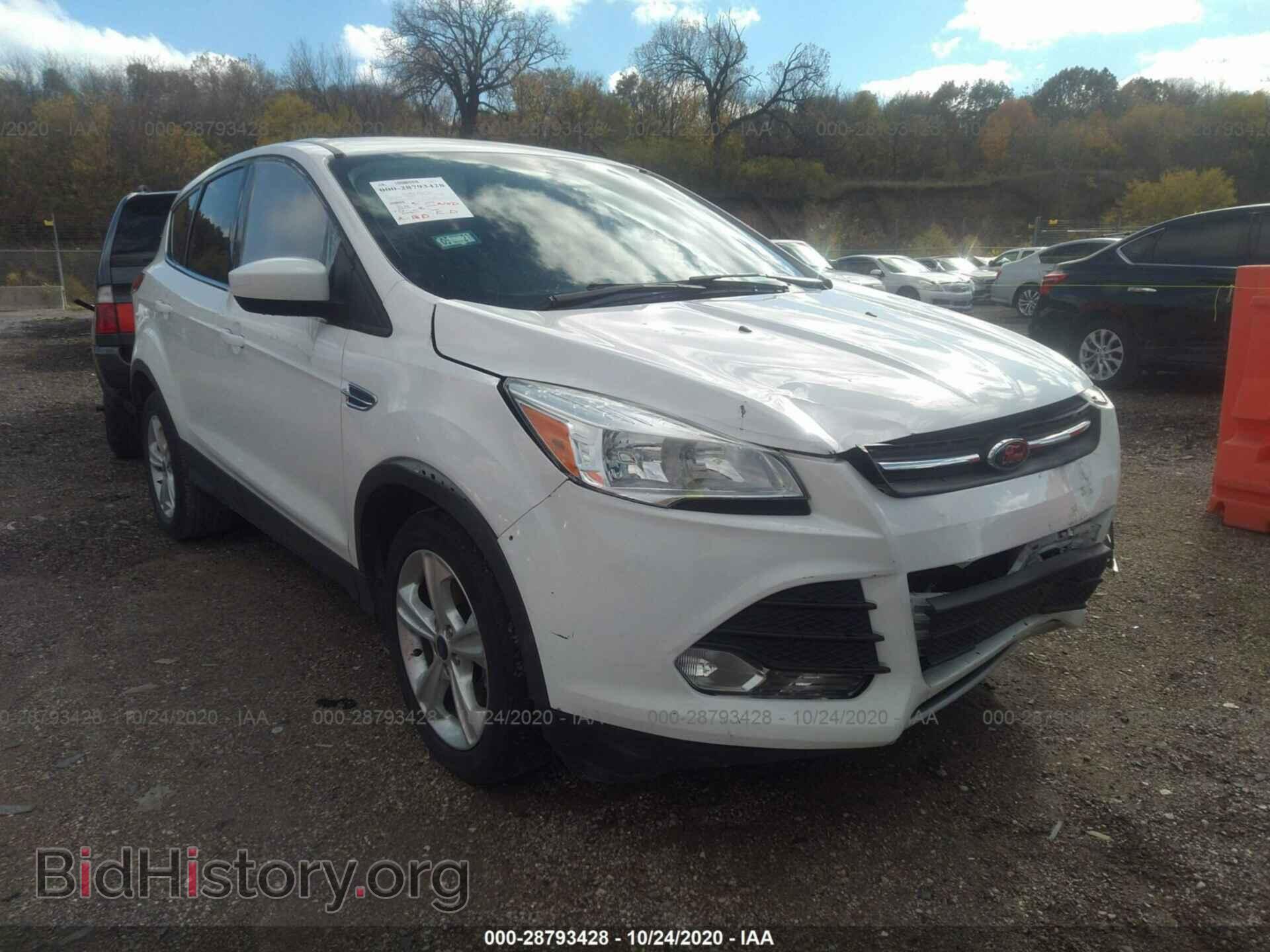 Фотография 1FMCU0GX4EUD49310 - FORD ESCAPE 2014