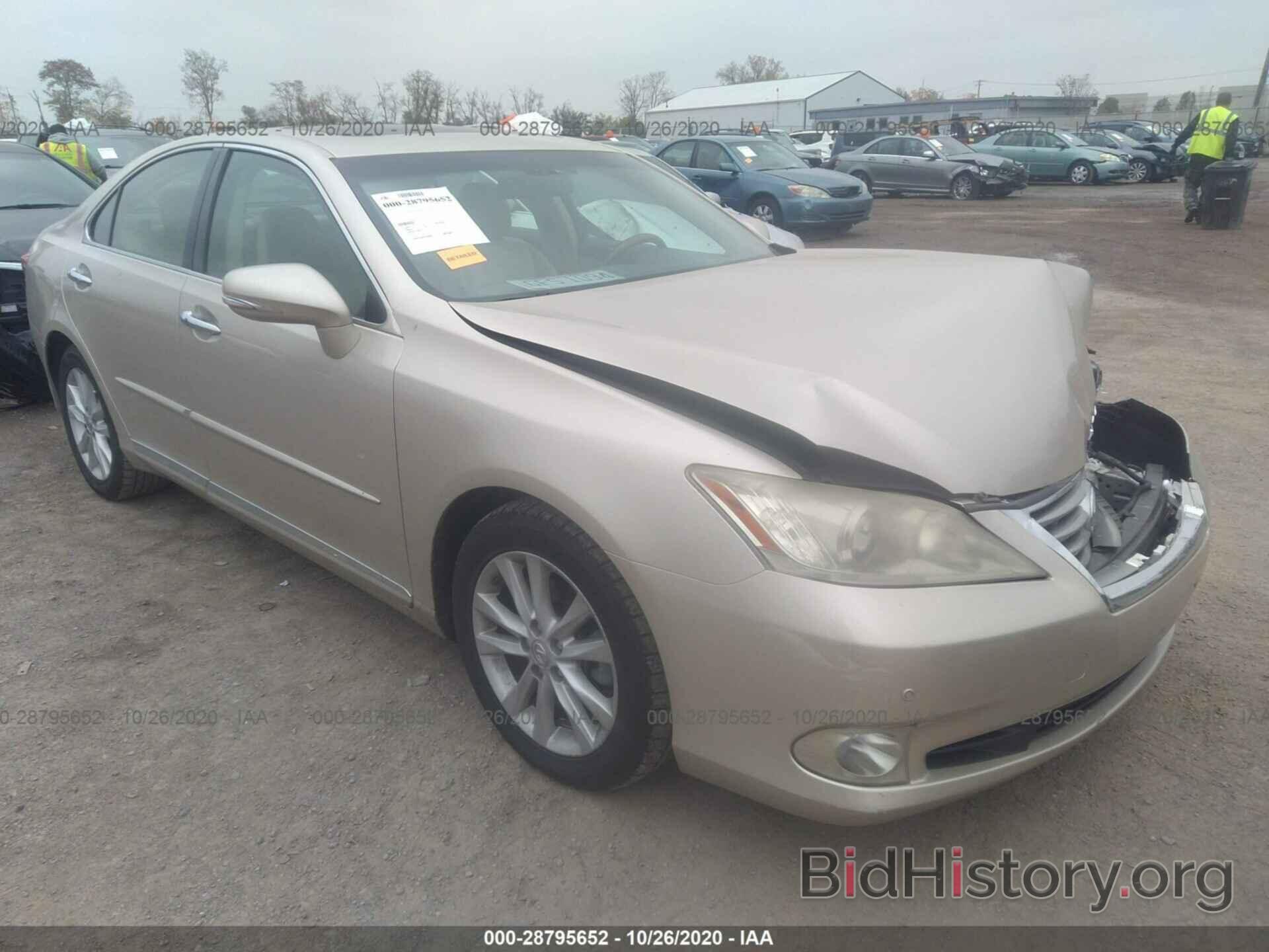 Фотография JTHBK1EG4A2351139 - LEXUS ES 350 2010