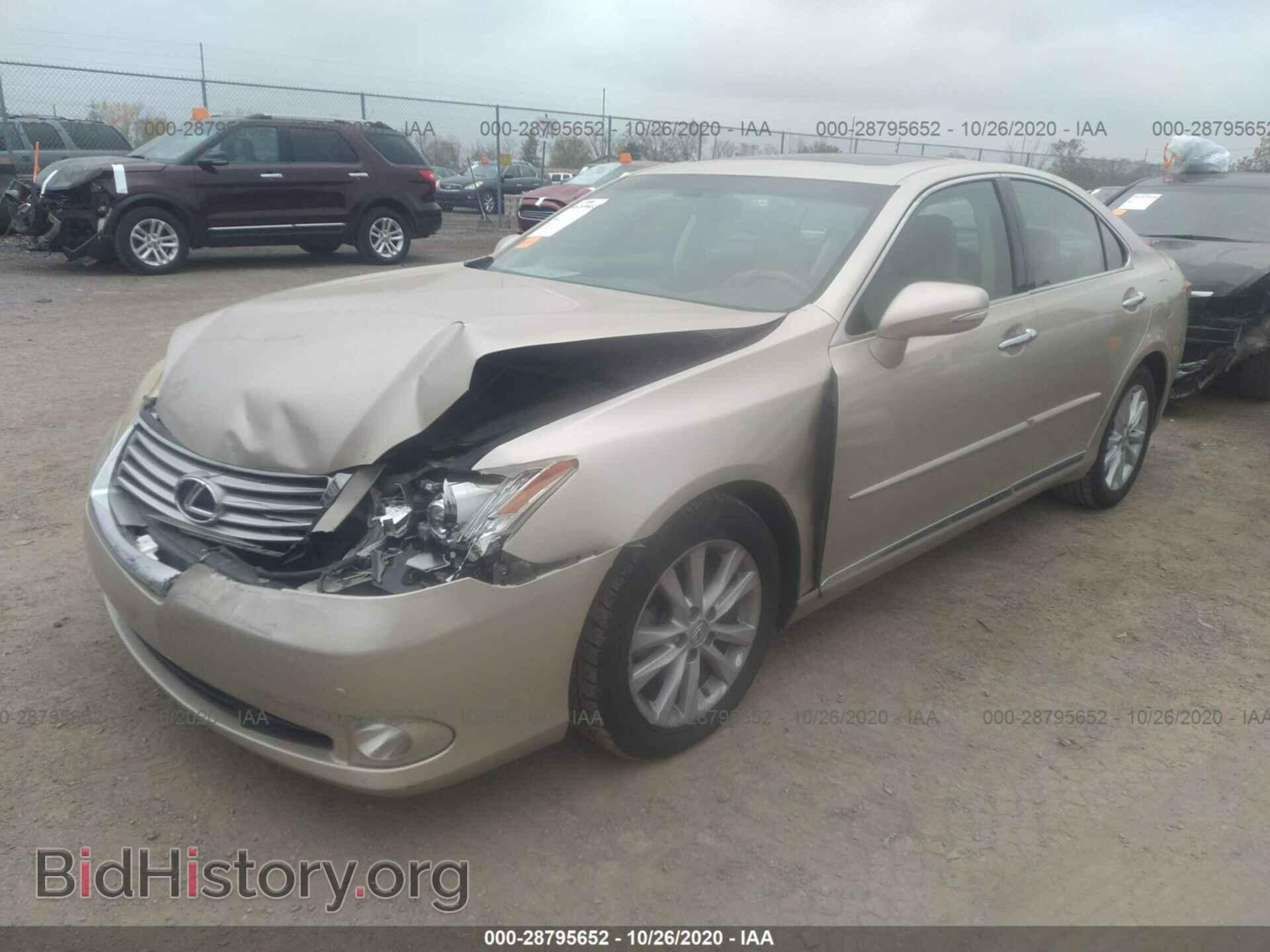2010 LEXUS ES 350 - VIN: JTHBK1EG4A2351139 - Фото 2