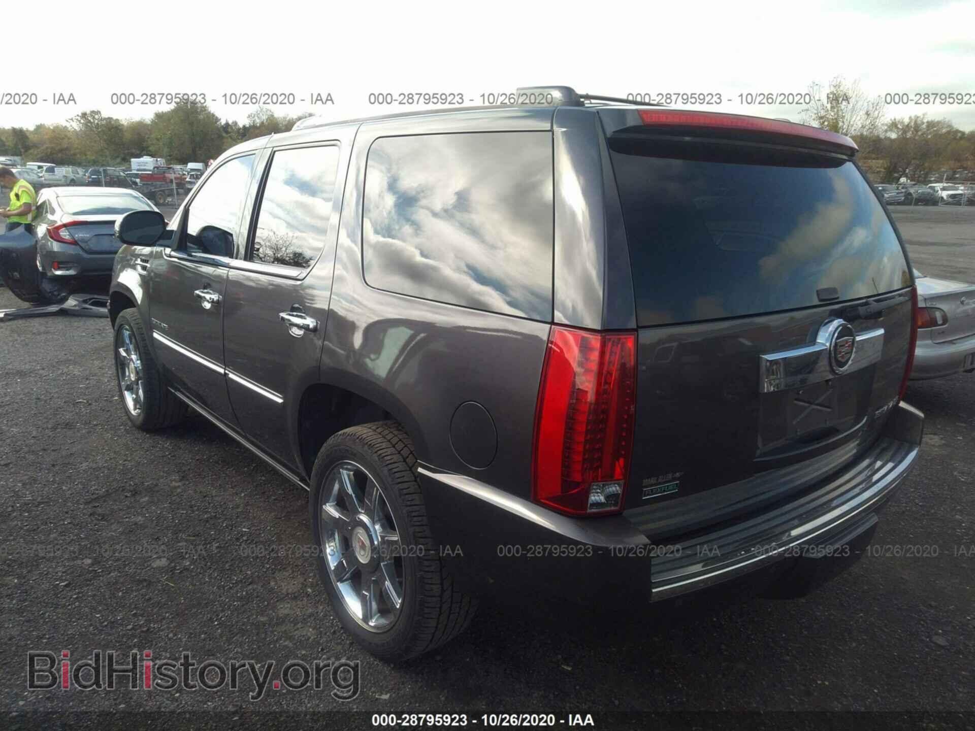 2010 CADILLAC ESCALADE - VIN: 1GYUKCEF8AR288609 - Фото 3