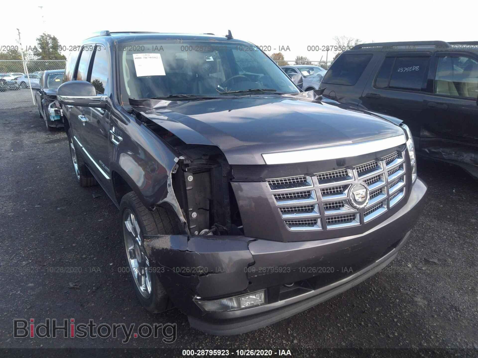 2010 CADILLAC ESCALADE - VIN: 1GYUKCEF8AR288609 - Фото 6