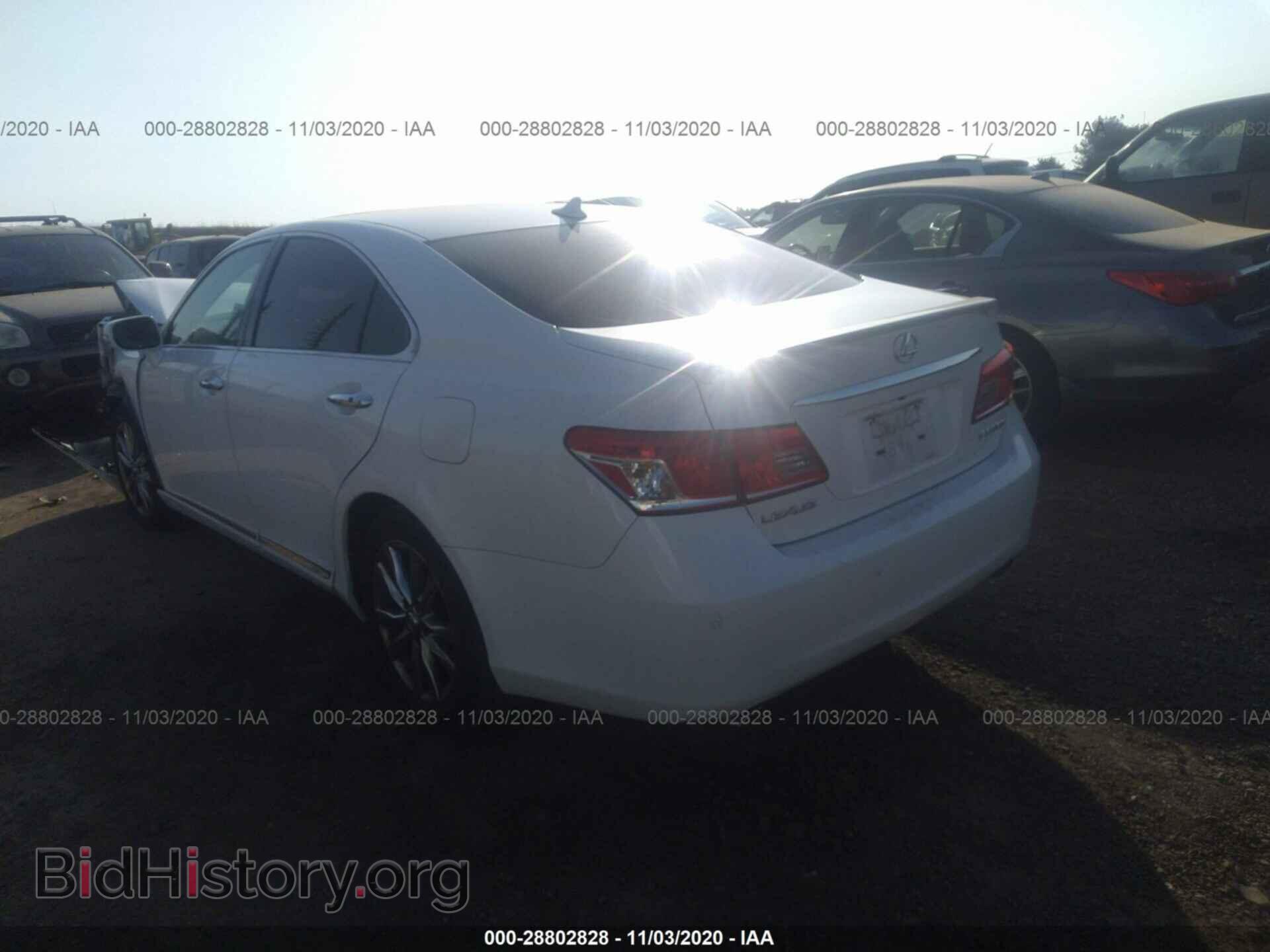 2010 LEXUS ES 350 - VIN: JTHBK1EG4A2396775 - Фото 3