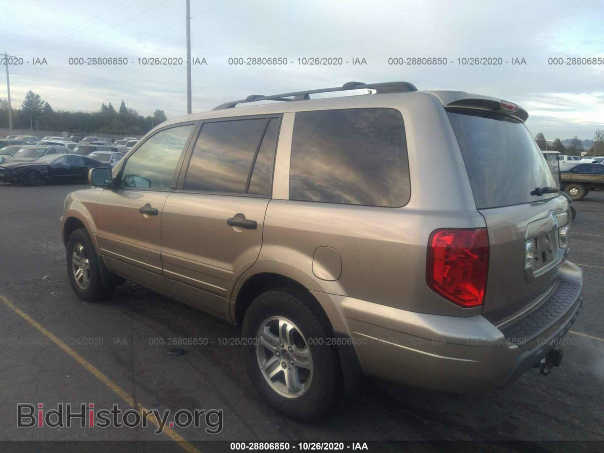2005 HONDA PILOT - VIN: 2HKYF184X5H516892 - Фото 3