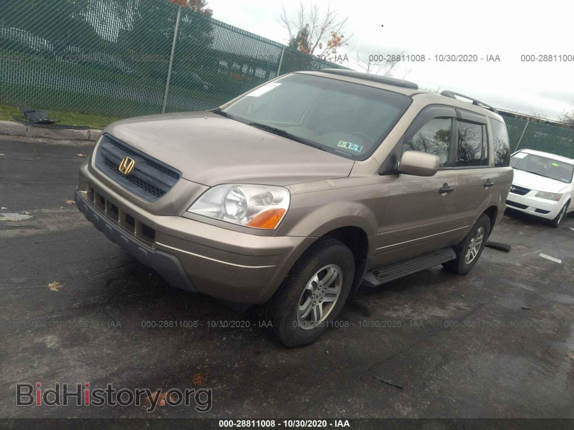 2005 HONDA PILOT - VIN: 5FNYF18565B042270 - Фото 2