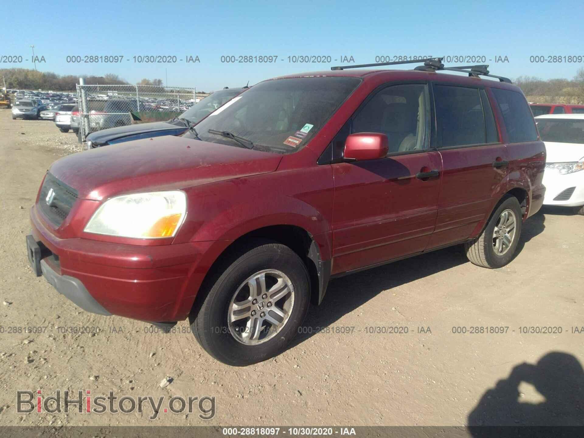2005 HONDA PILOT - VIN: 5FNYF18525B057591 - Фото 2