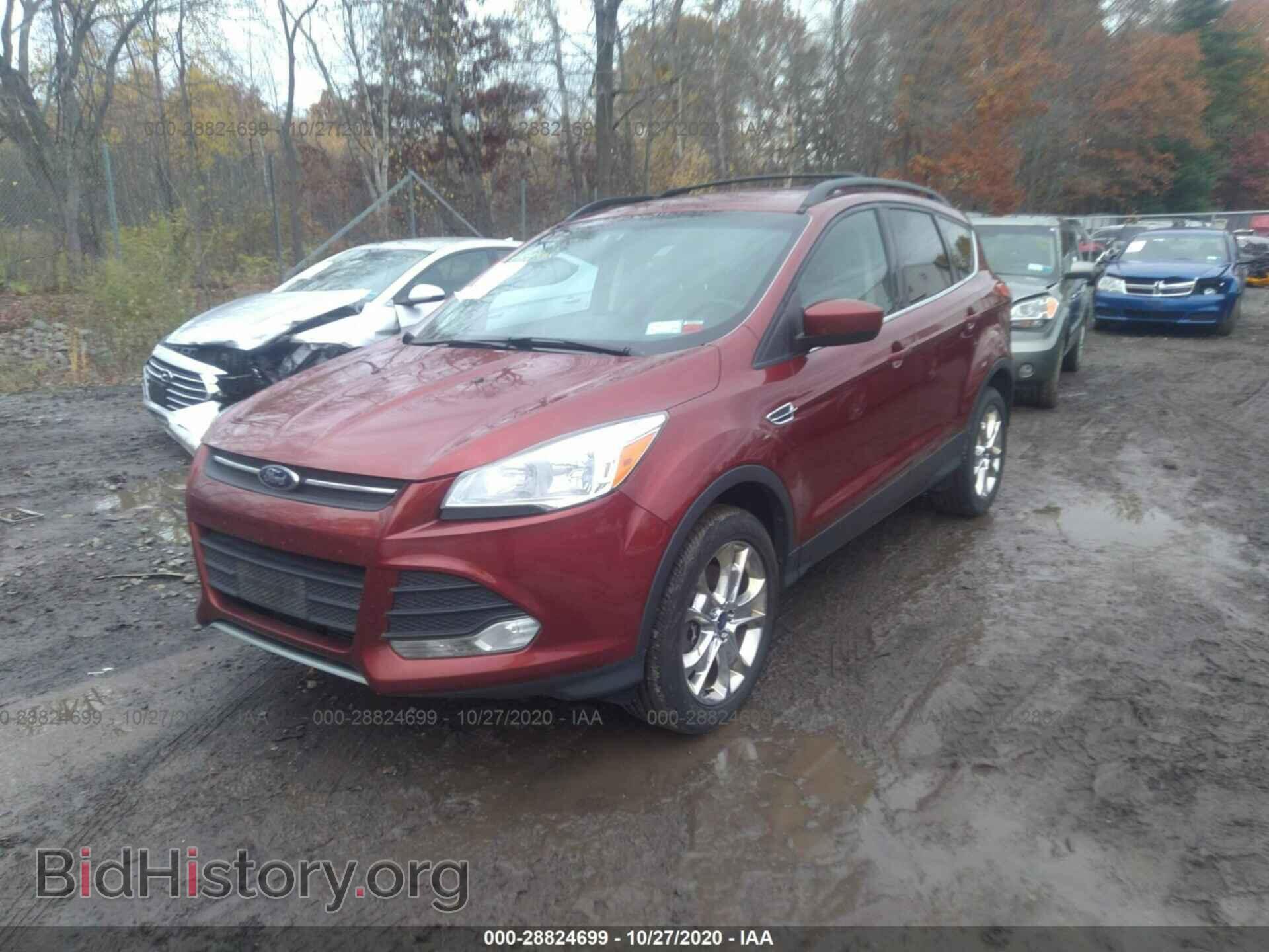 2014 FORD ESCAPE - VIN: 1FMCU9G90EUC34029 - Photo 2