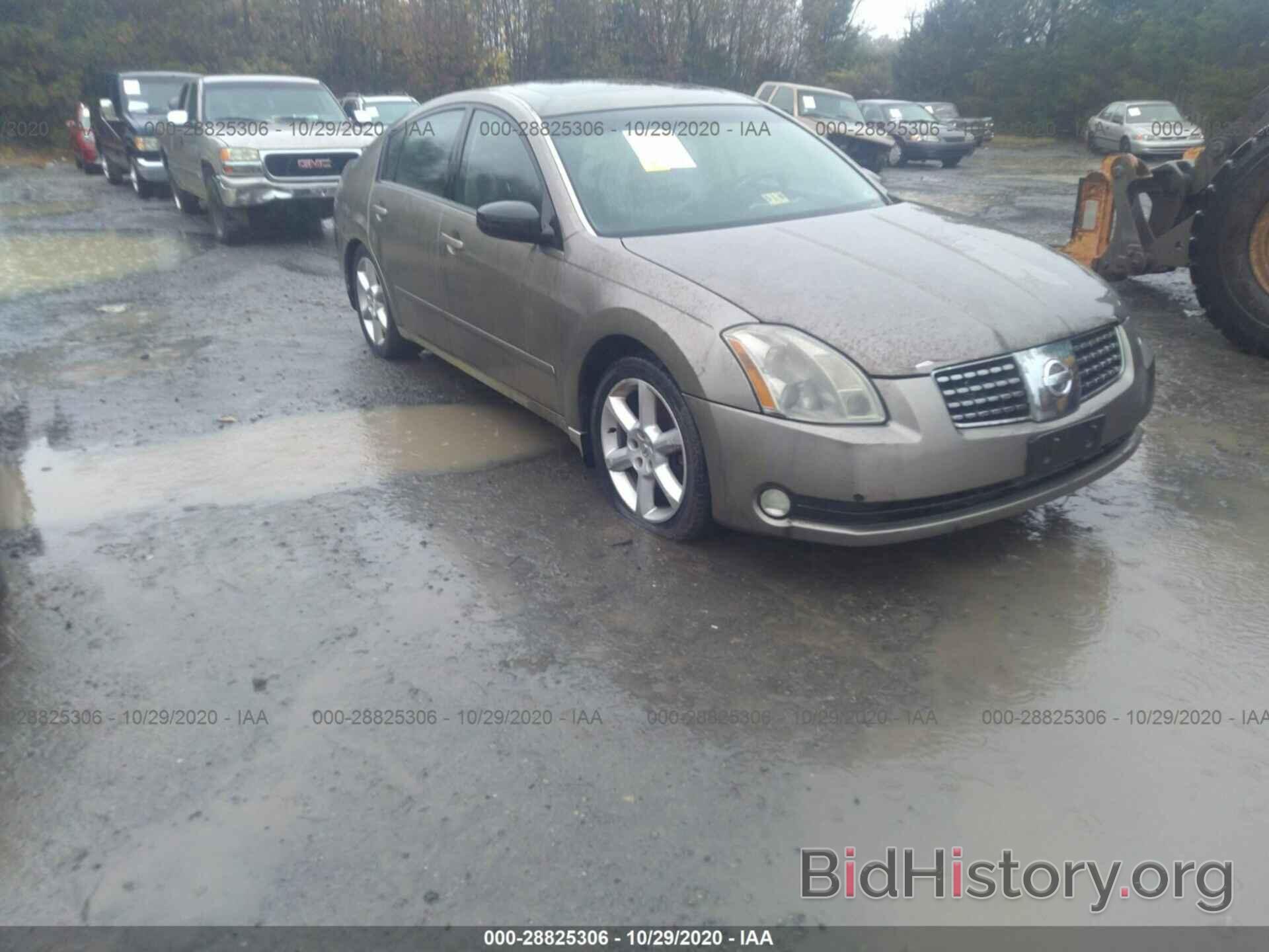 Photo 1N4BA41E64C877223 - NISSAN MAXIMA 2004