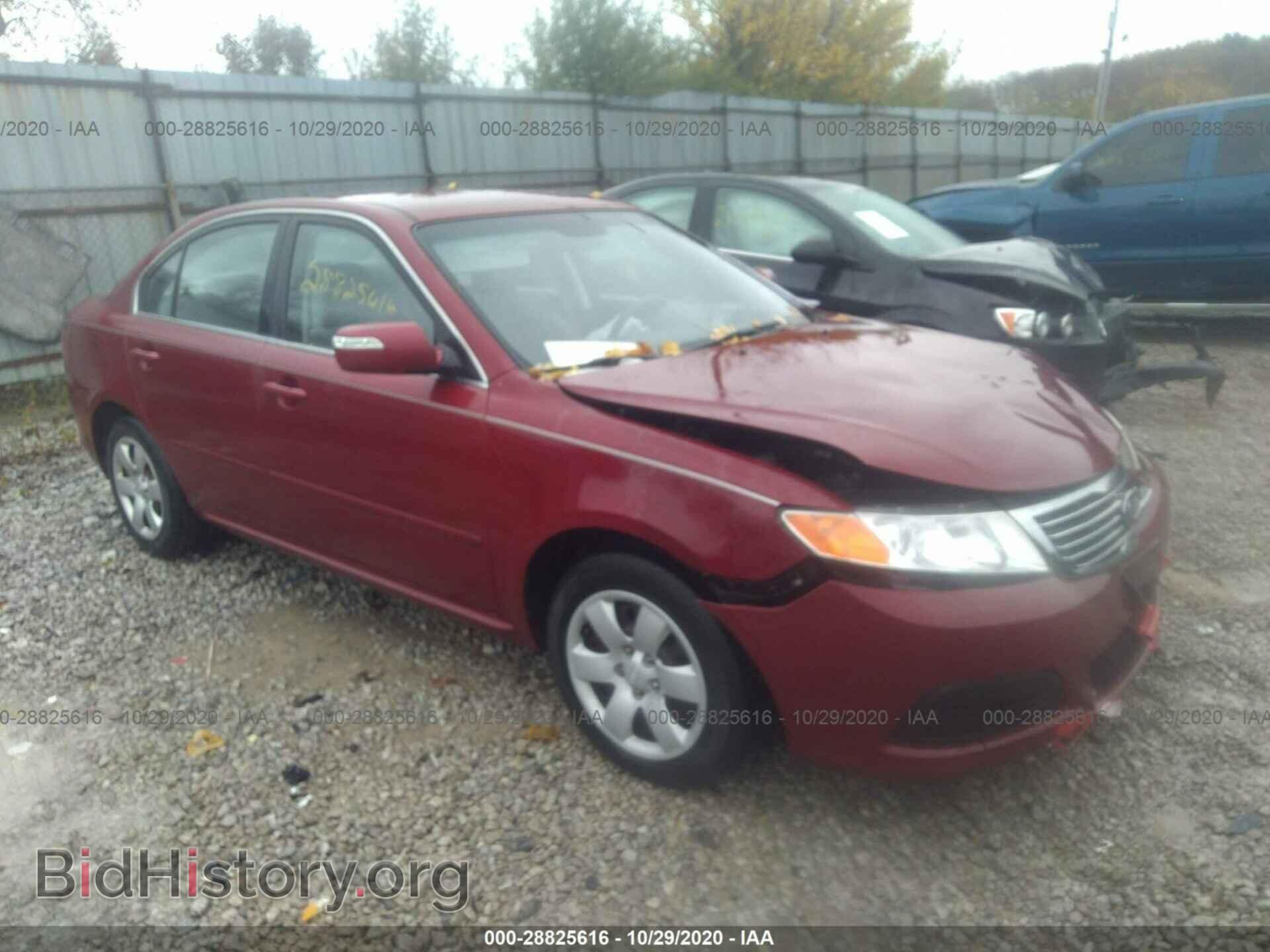 Фотография KNAGG4A80A5372588 - KIA OPTIMA 2010