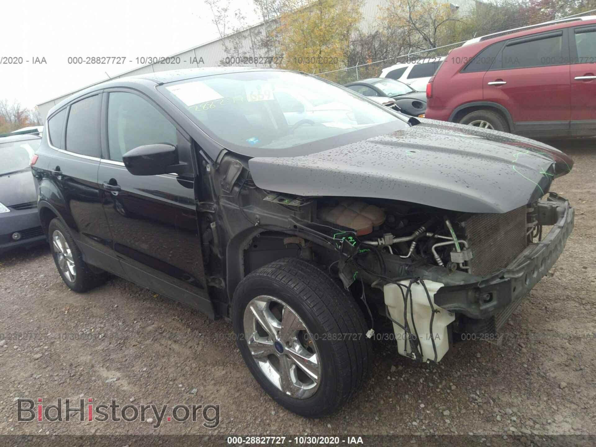 Photo 1FMCU9G96DUB86504 - FORD ESCAPE 2013