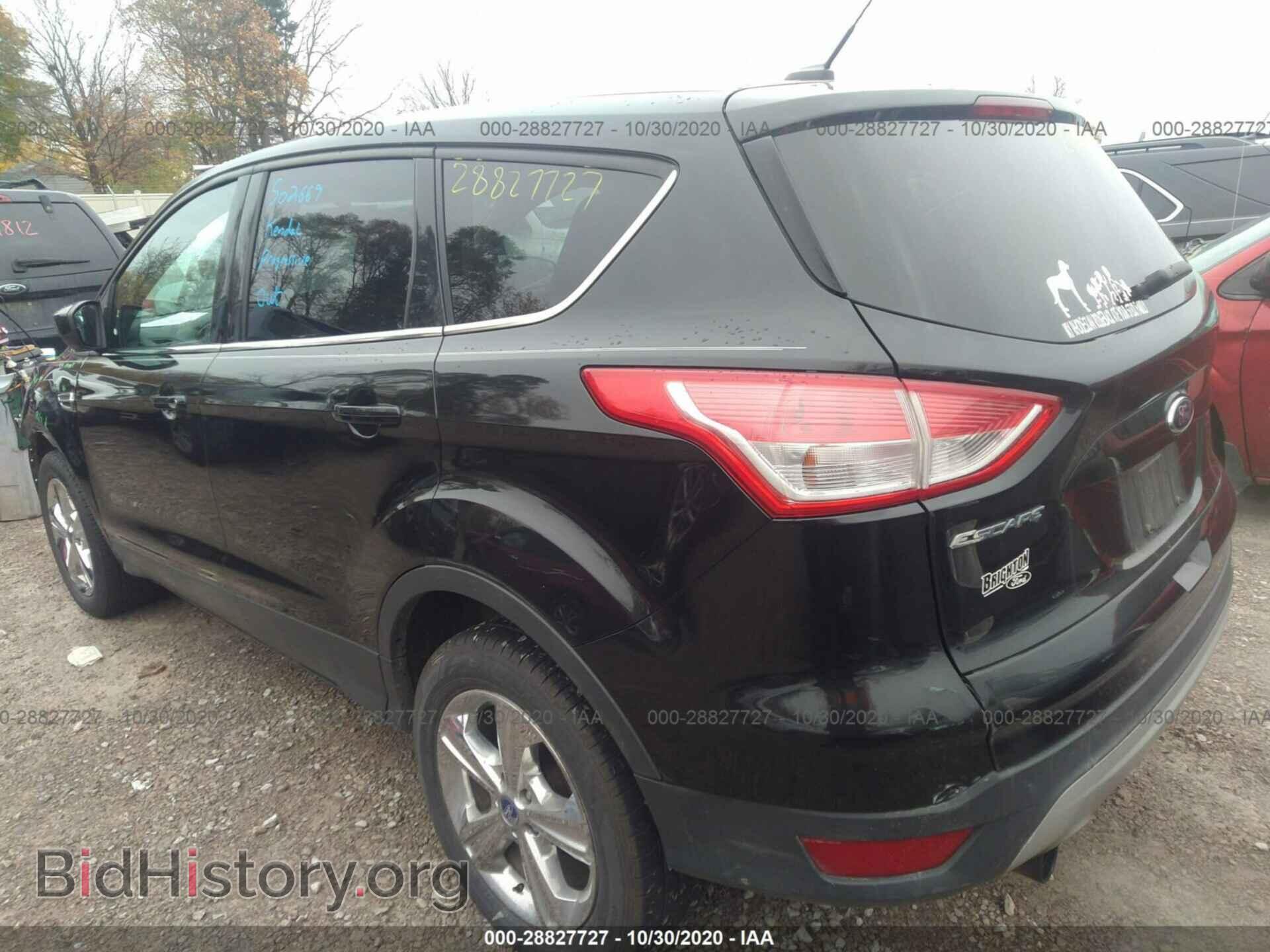 2013 FORD ESCAPE - VIN: 1FMCU9G96DUB86504 - Фото 3
