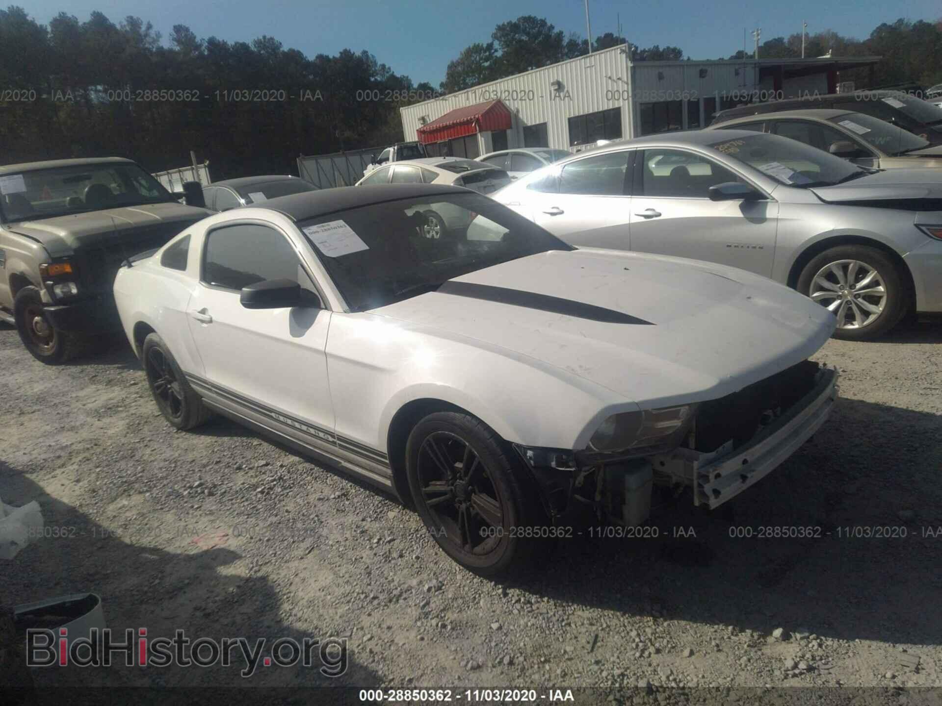 Фотография 1ZVBP8AN4A5161627 - FORD MUSTANG 2010