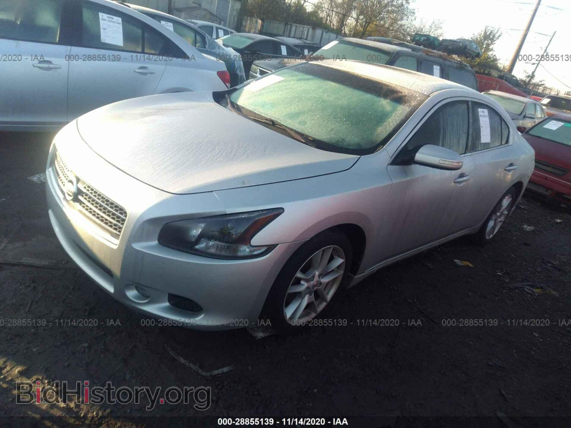 2010 NISSAN MAXIMA - VIN: 1N4AA5AP1AC831250 - Фото 2