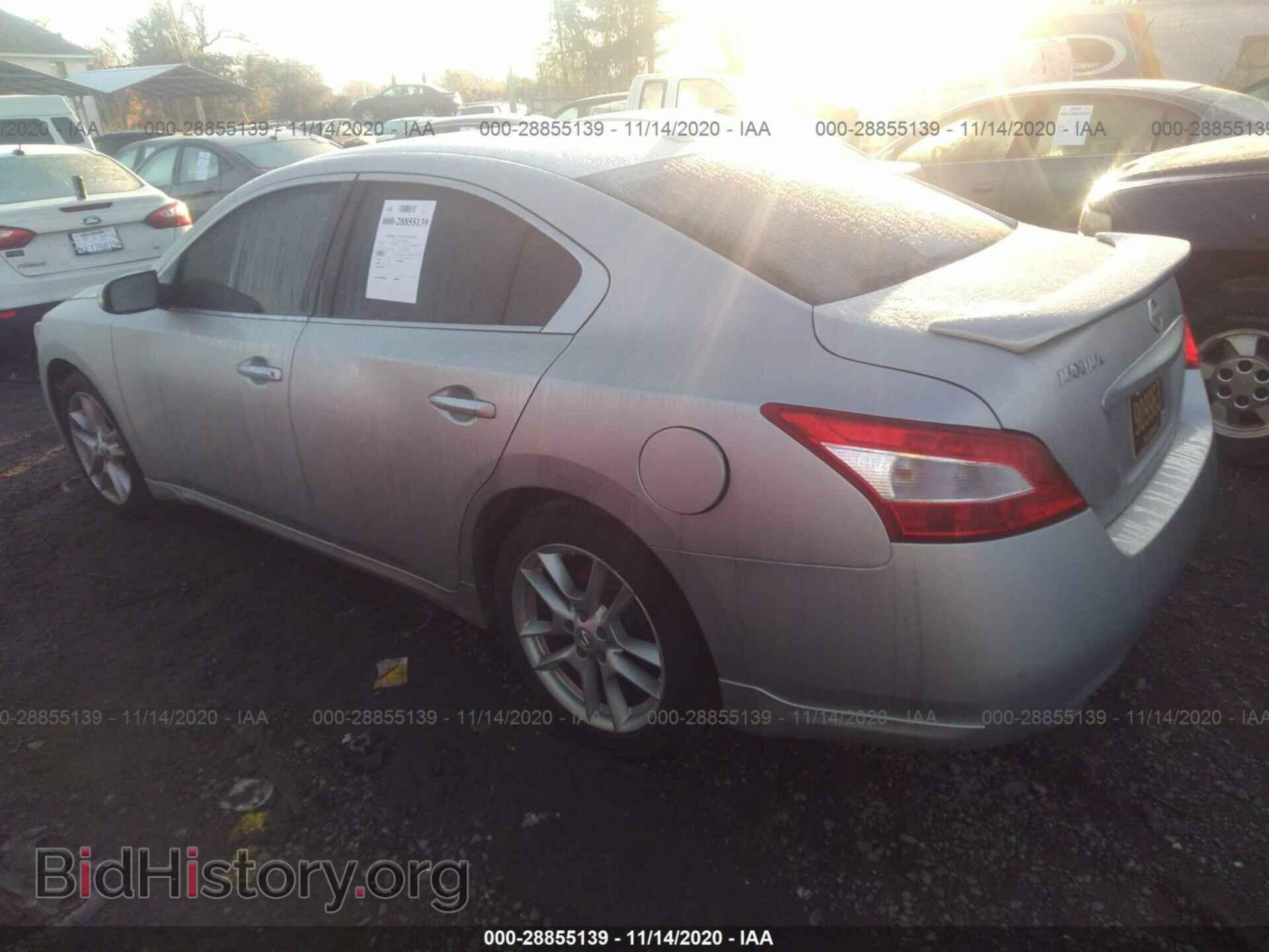 2010 NISSAN MAXIMA - VIN: 1N4AA5AP1AC831250 - Фото 3