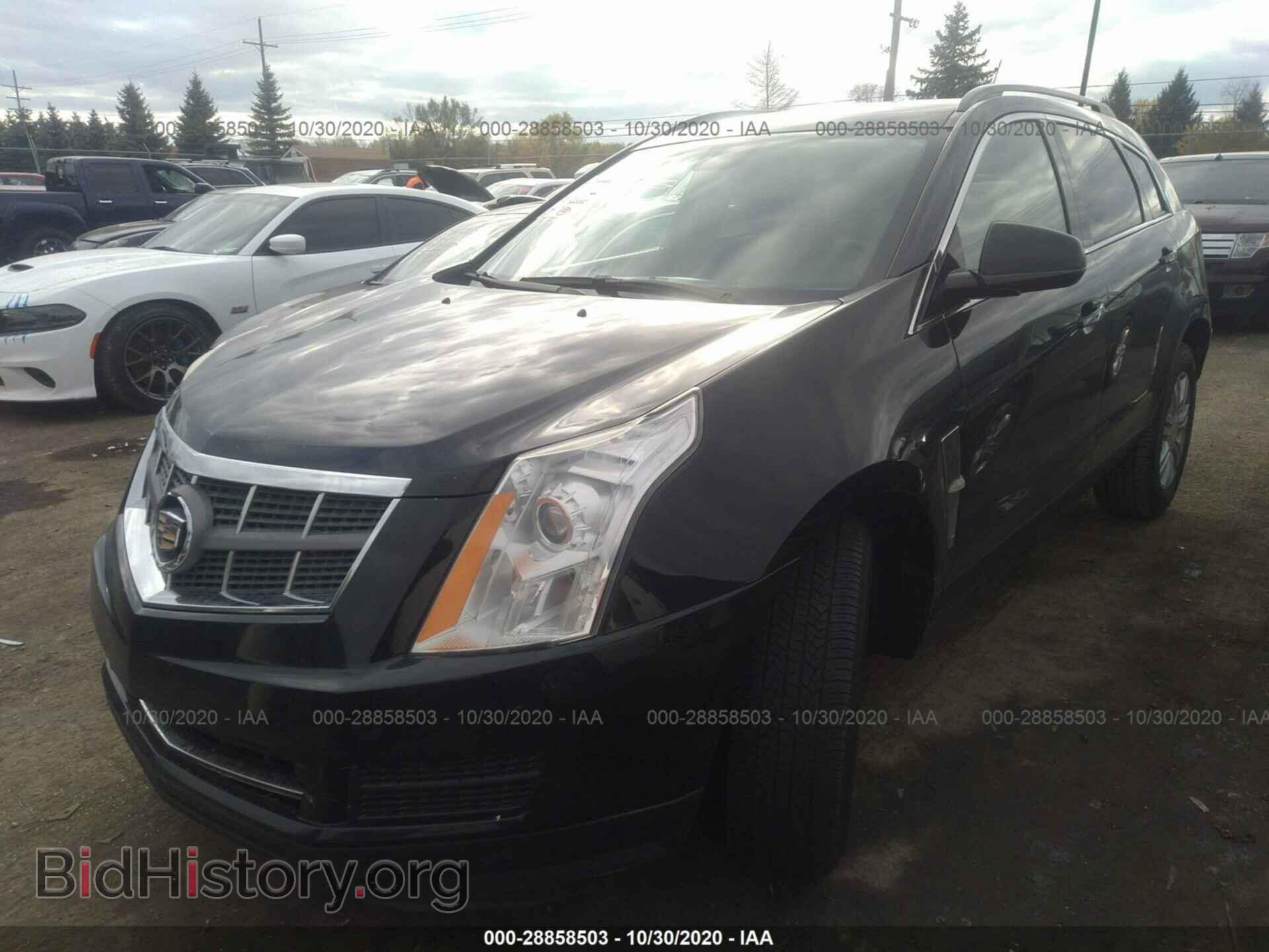 2011 CADILLAC SRX - VIN: 3GYFNGEY5BS664478 - Фото 2