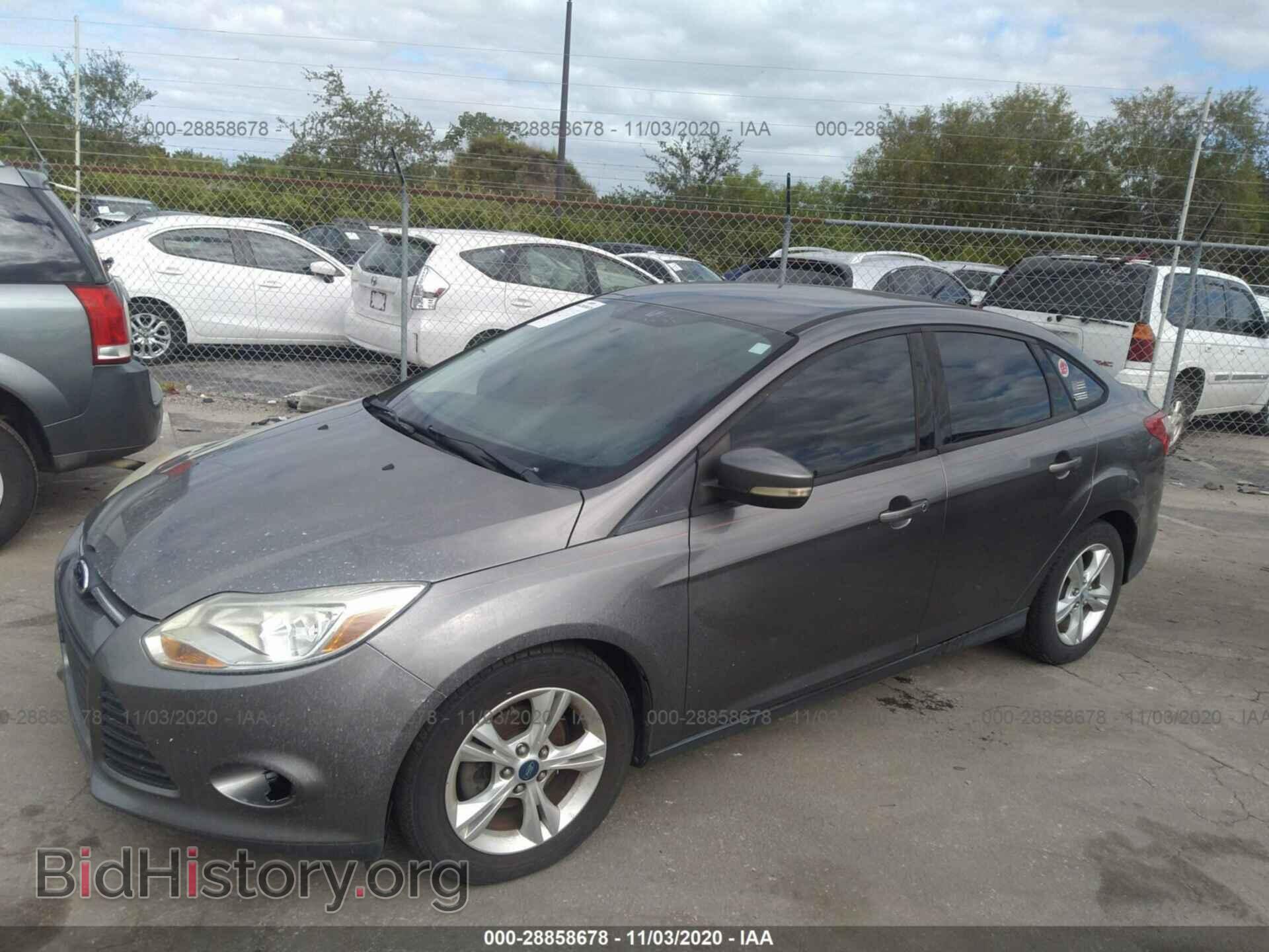 2013 FORD FOCUS - VIN: 1FADP3F20DL217534 - Фото 2