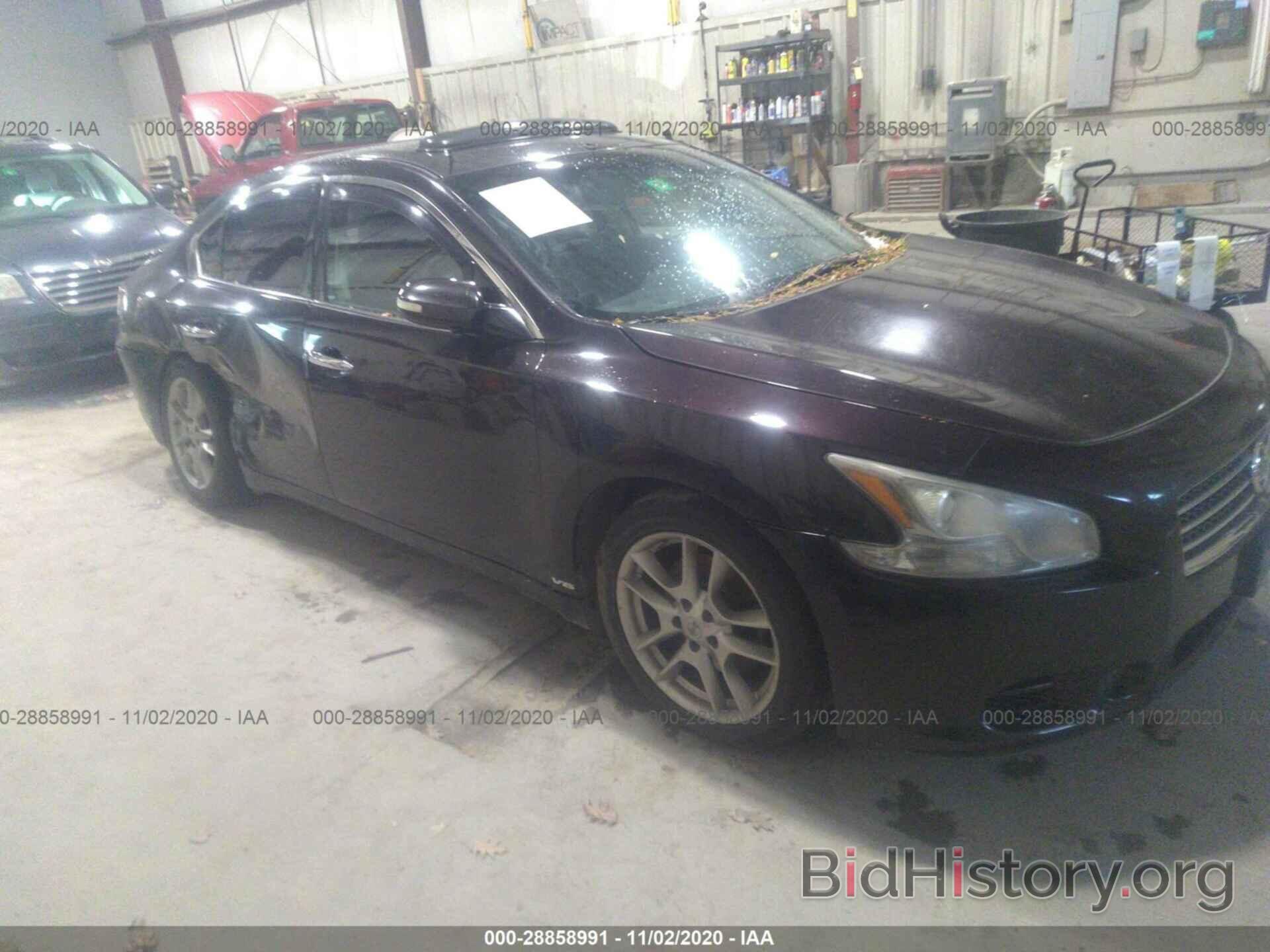 Photo 1N4AA5AP8BC857152 - NISSAN MAXIMA 2011