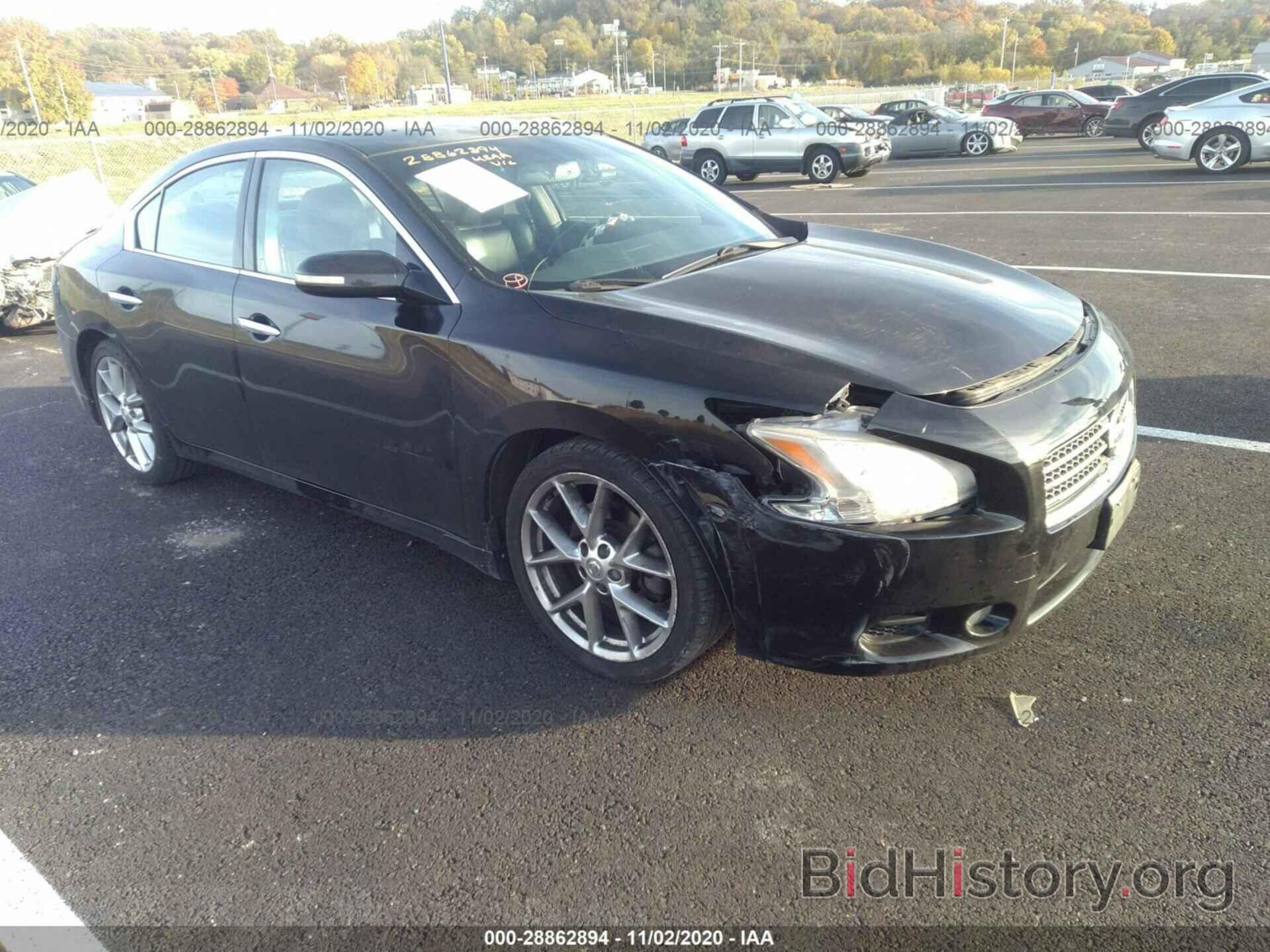 Photo 1N4AA5AP8AC808581 - NISSAN MAXIMA 2010