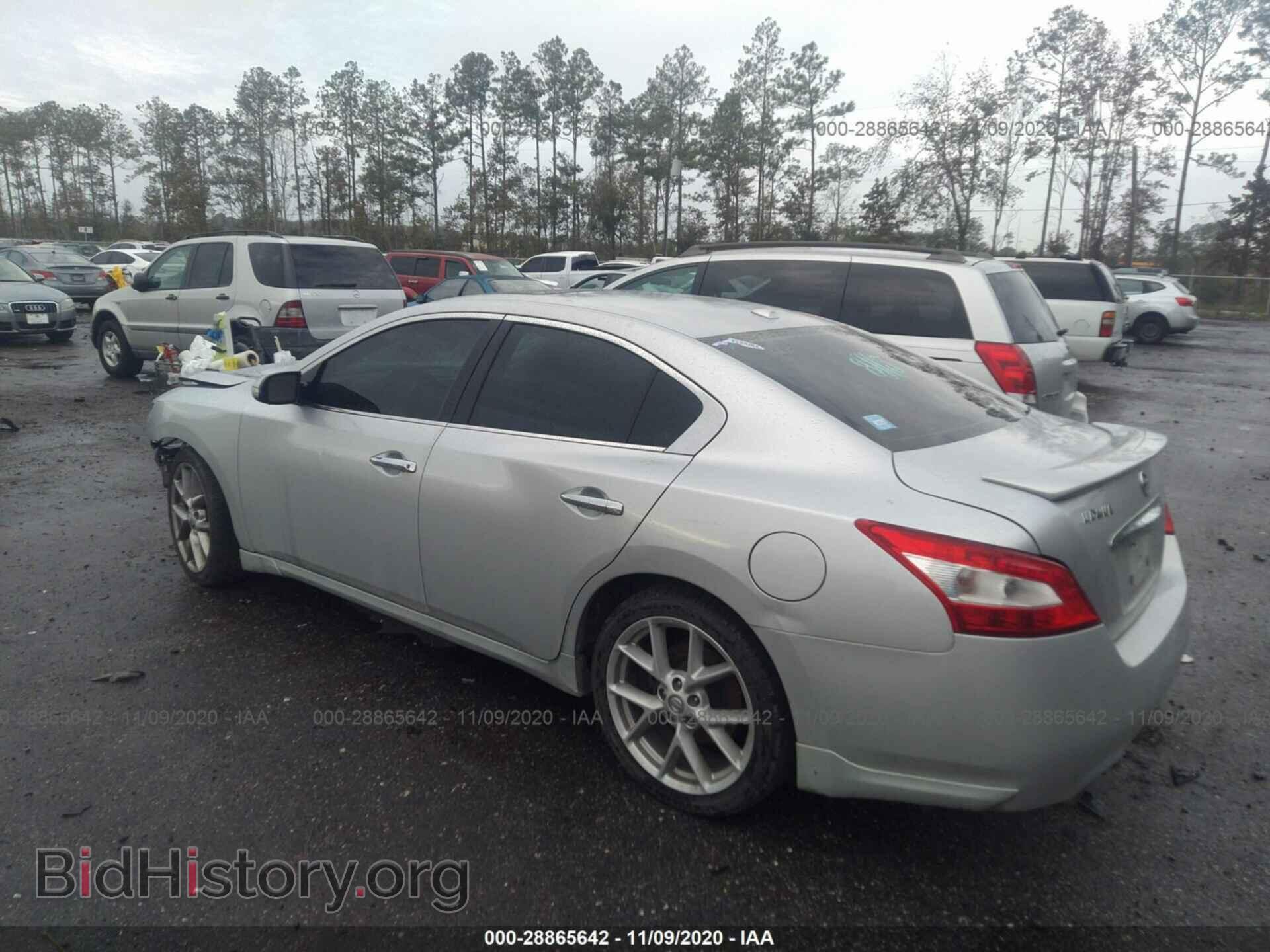 2010 NISSAN MAXIMA - VIN: 1N4AA5AP5AC804889 - Фото 3