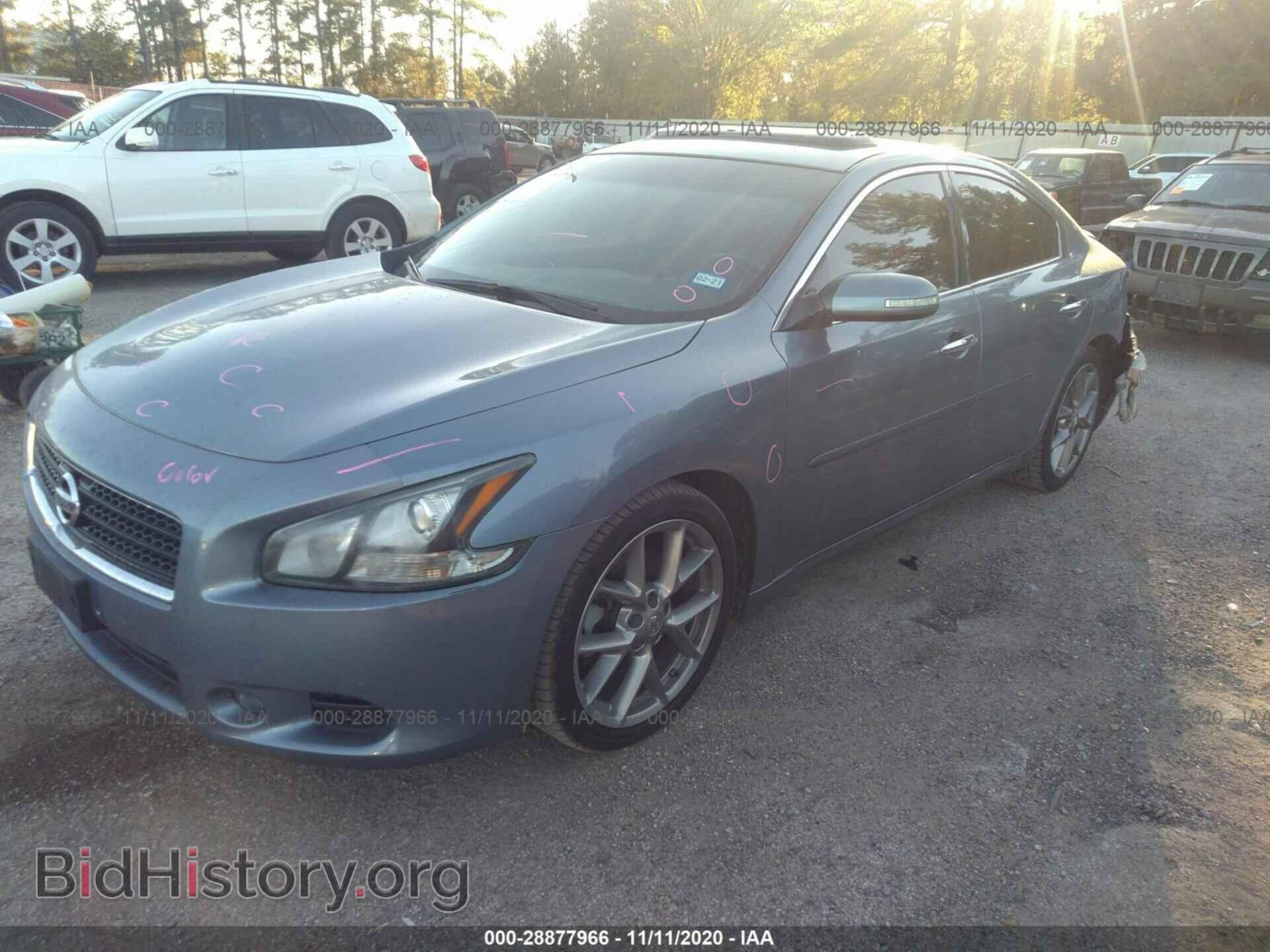 2011 NISSAN MAXIMA - VIN: 1N4AA5AP7BC867607 - Фото 2