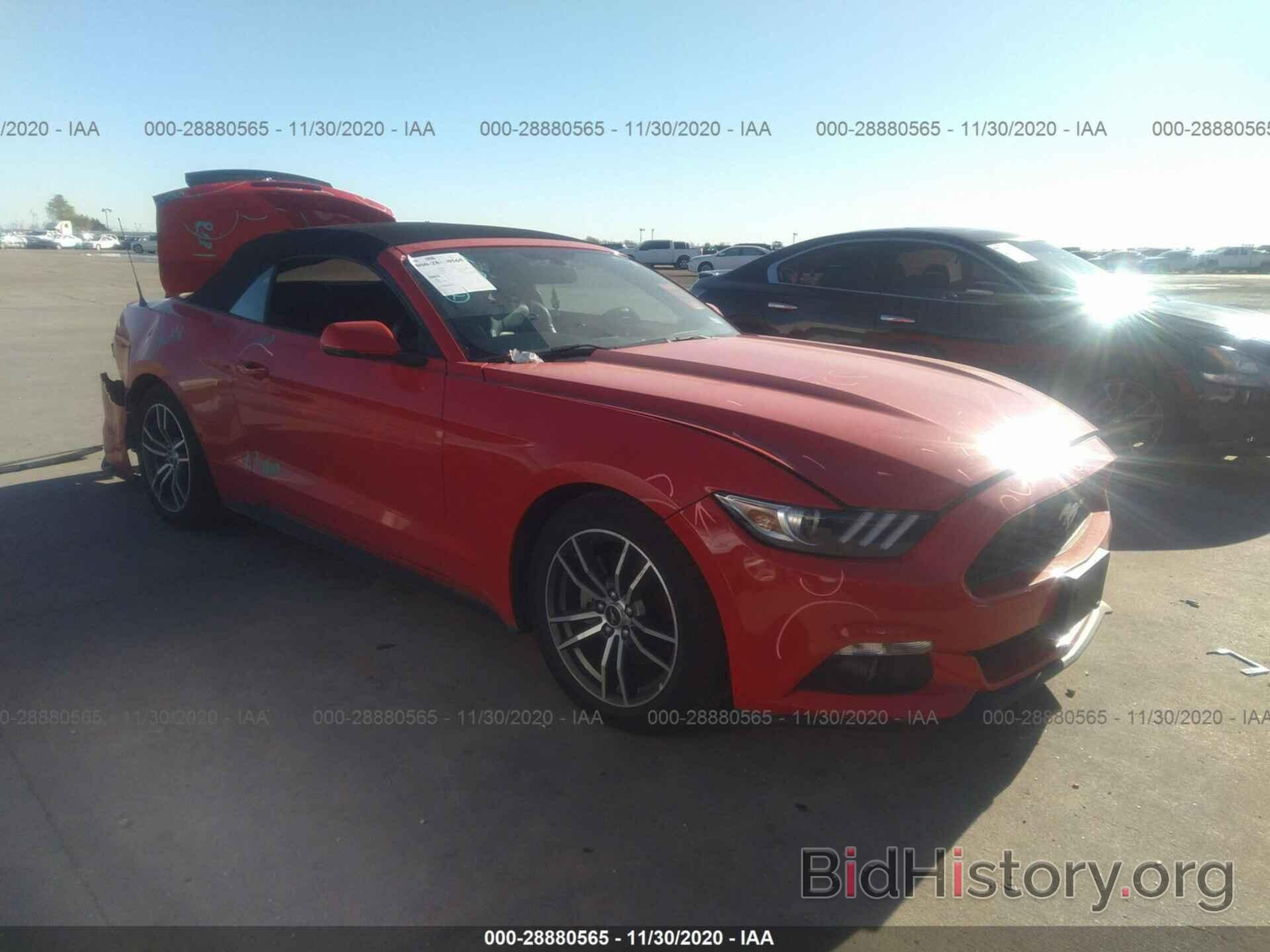 Photo 1FATP8UH3H5254524 - FORD MUSTANG 2017