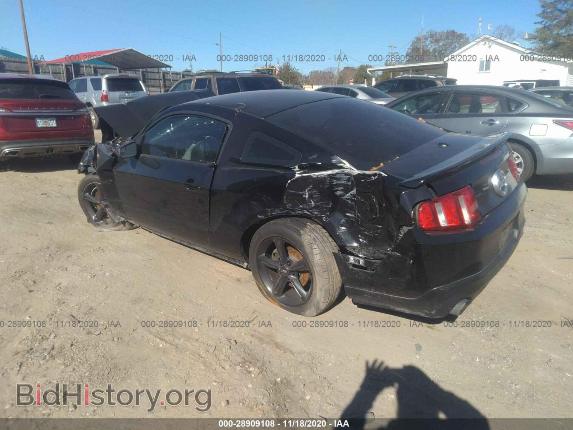 2011 FORD MUSTANG - VIN: 1ZVBP8CF2B5146700 - Фото 3