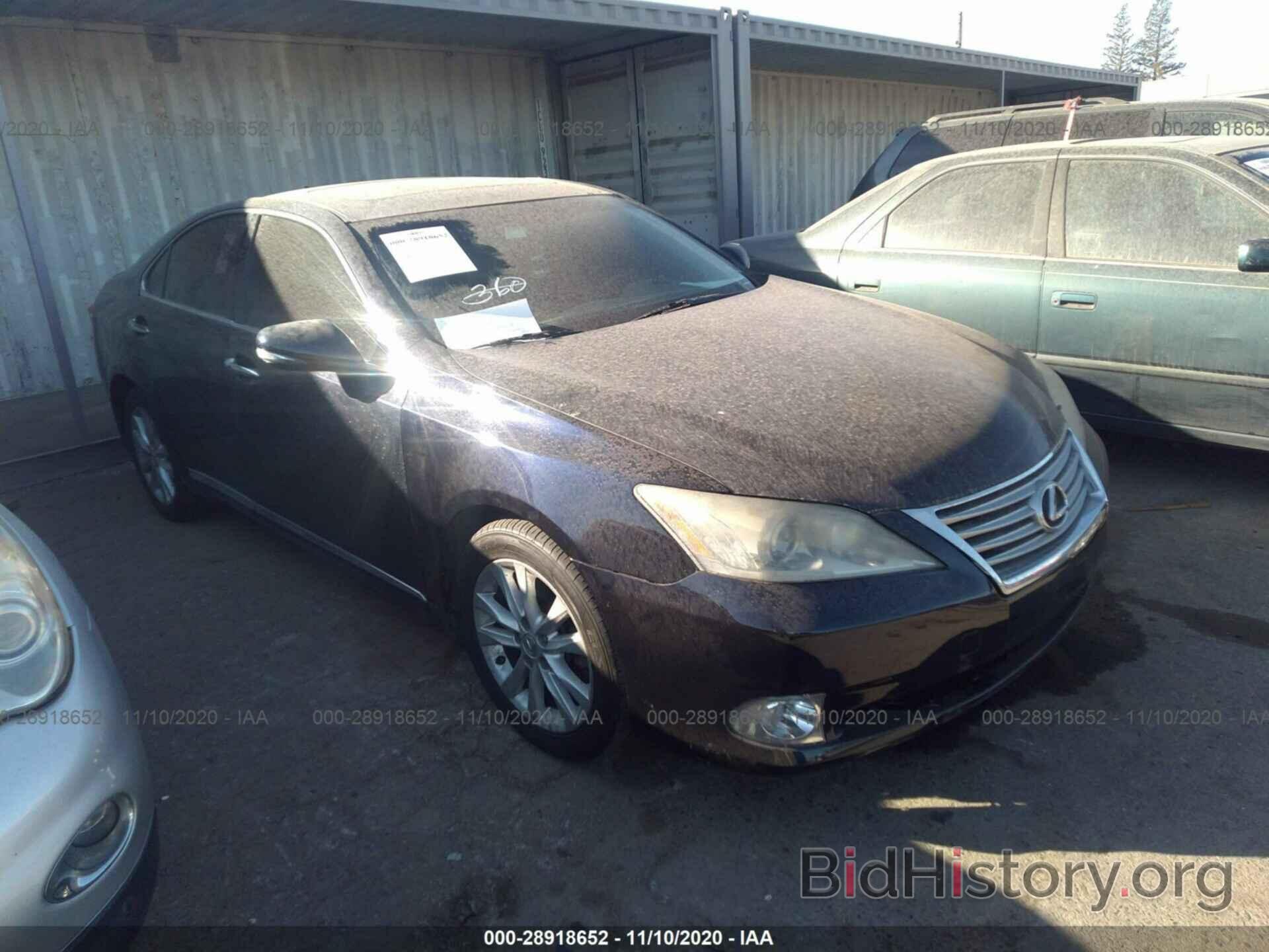 Фотография JTHBK1EG8A2371510 - LEXUS ES 350 2010